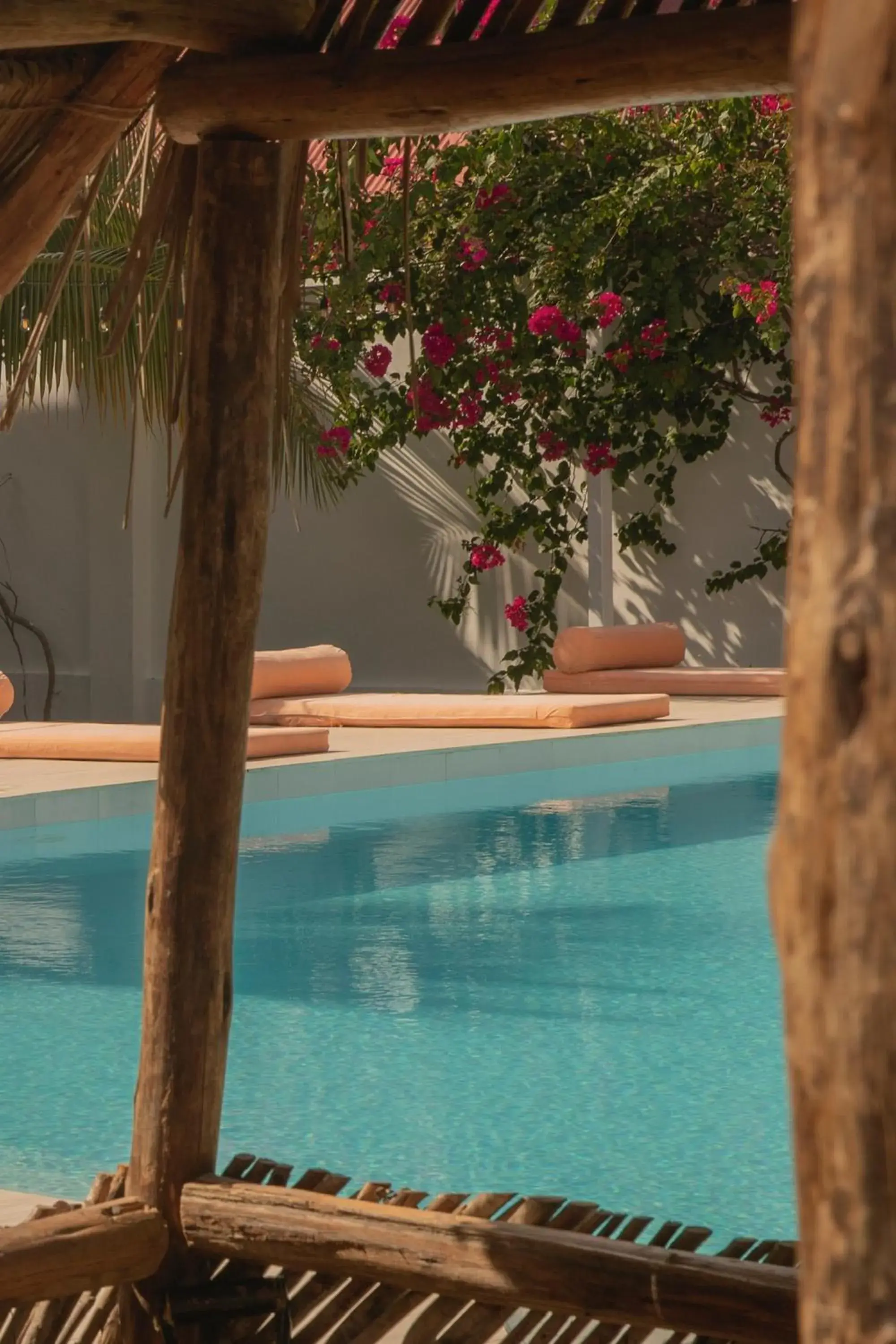 Swimming pool in Paje White House Swimming pool in Paje White House