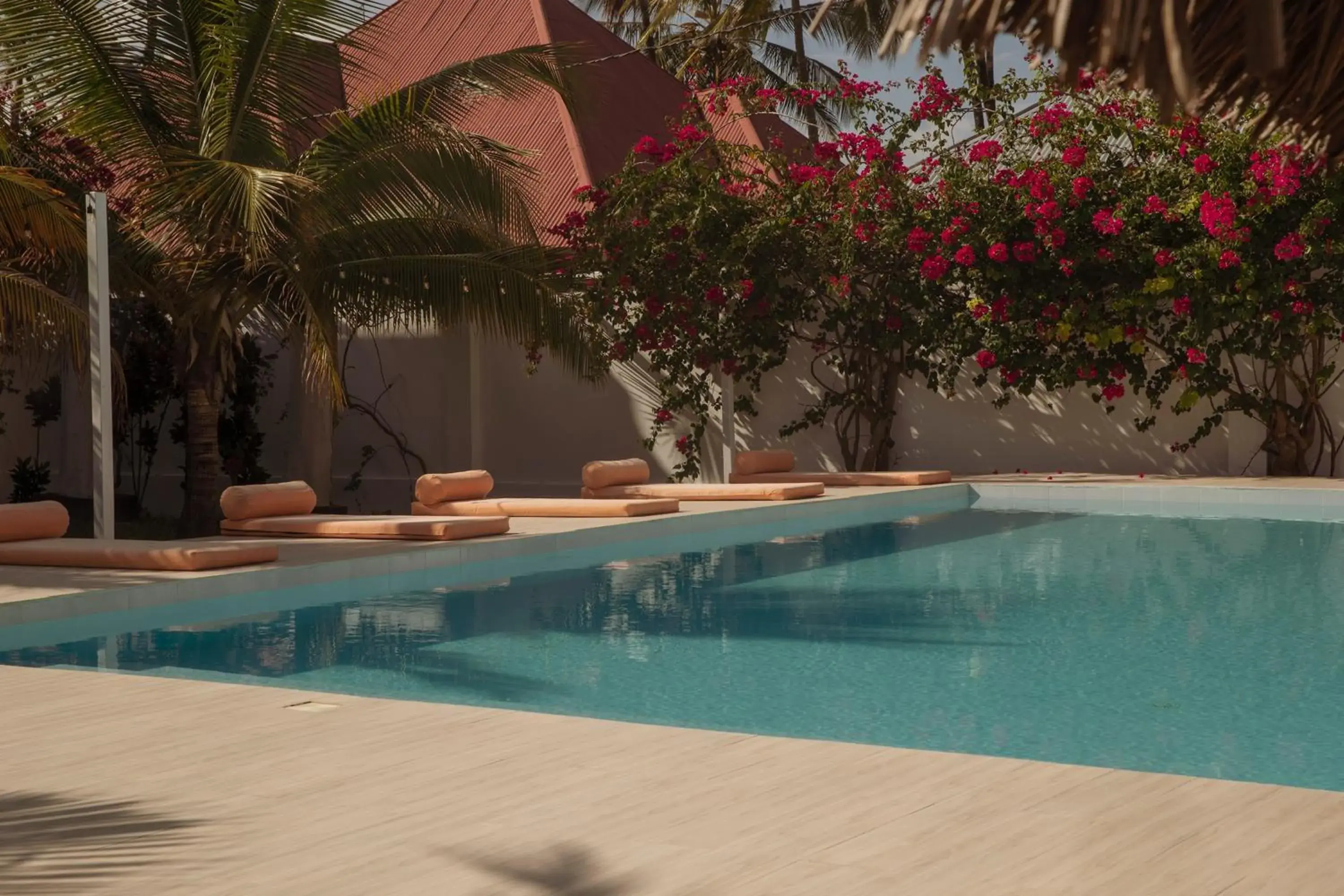 Swimming pool in Paje White House Swimming pool in Paje White House