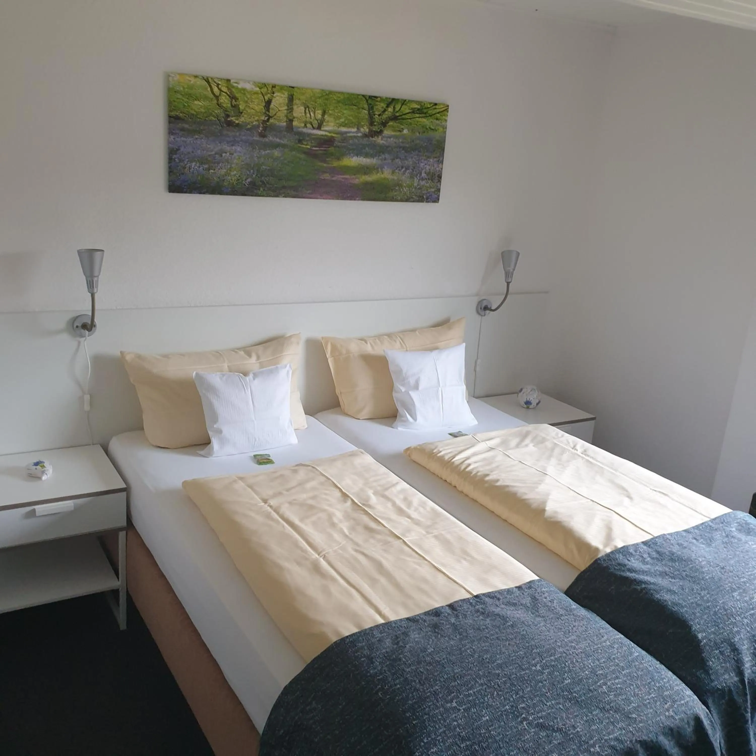 Photo of the whole room, Bed in Kurparkhotel-Gemünd