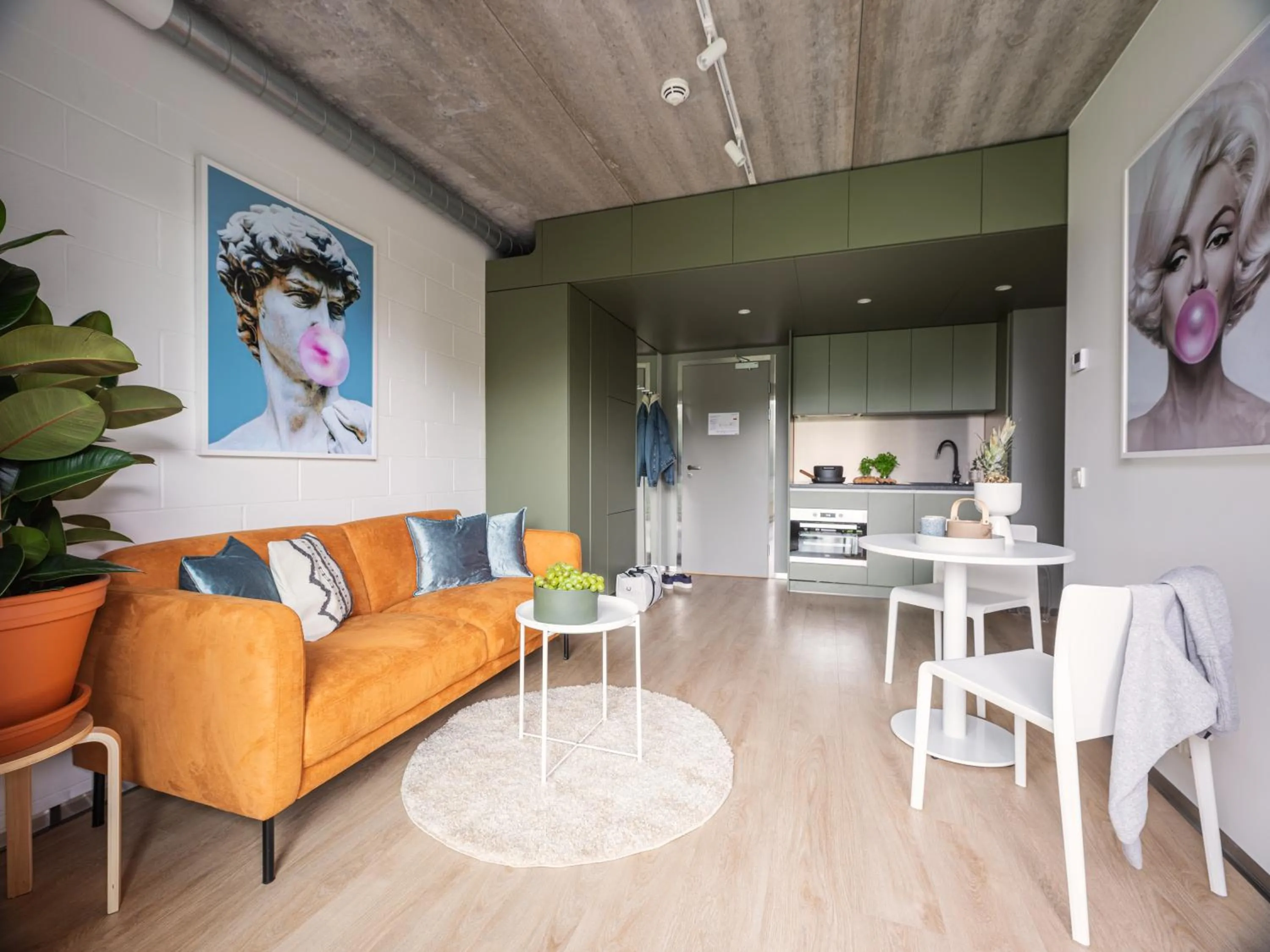 Campus House by Larsen
