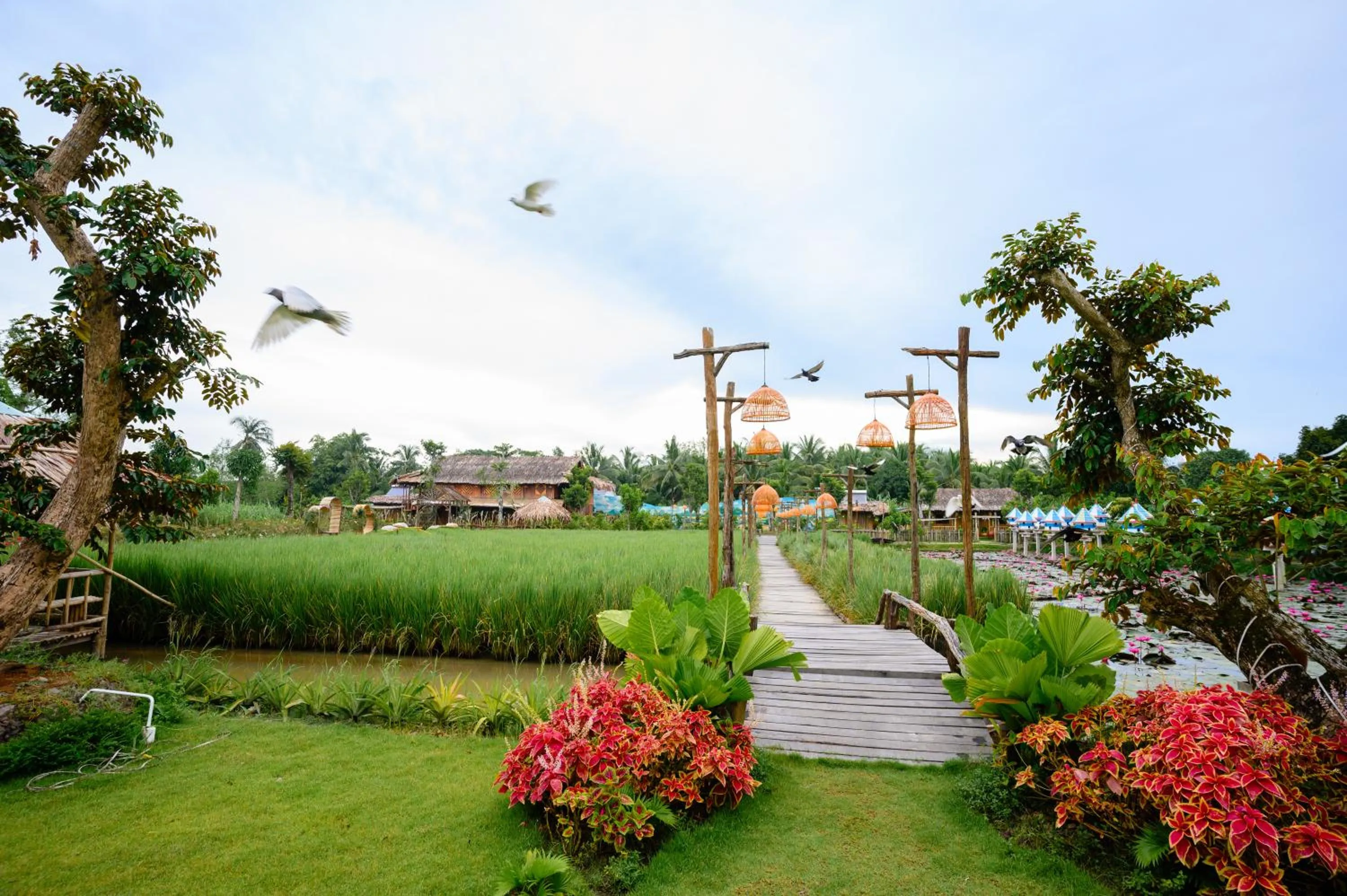 Activities in Cantho Eco Resort