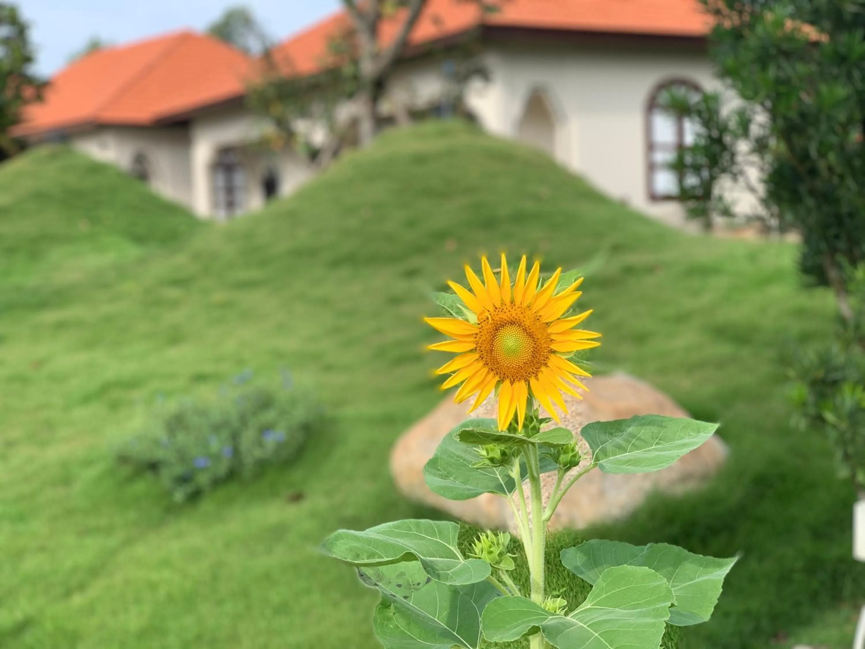 Garden in Cantho Eco Resort