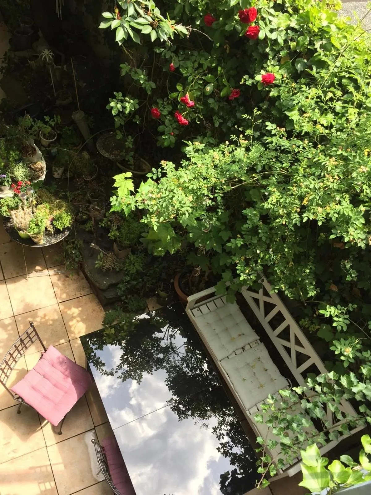 Garden in Liebezeit - ehemals Hotel Dillenburg