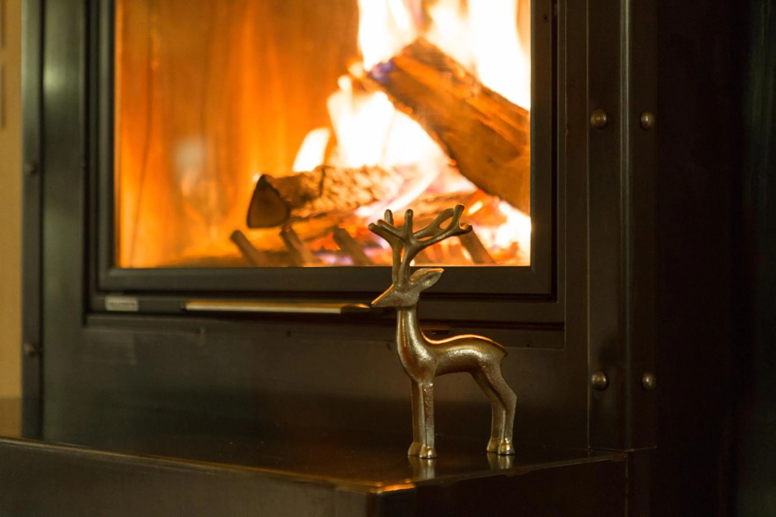 Communal lounge/ TV room in Hotel Cervo