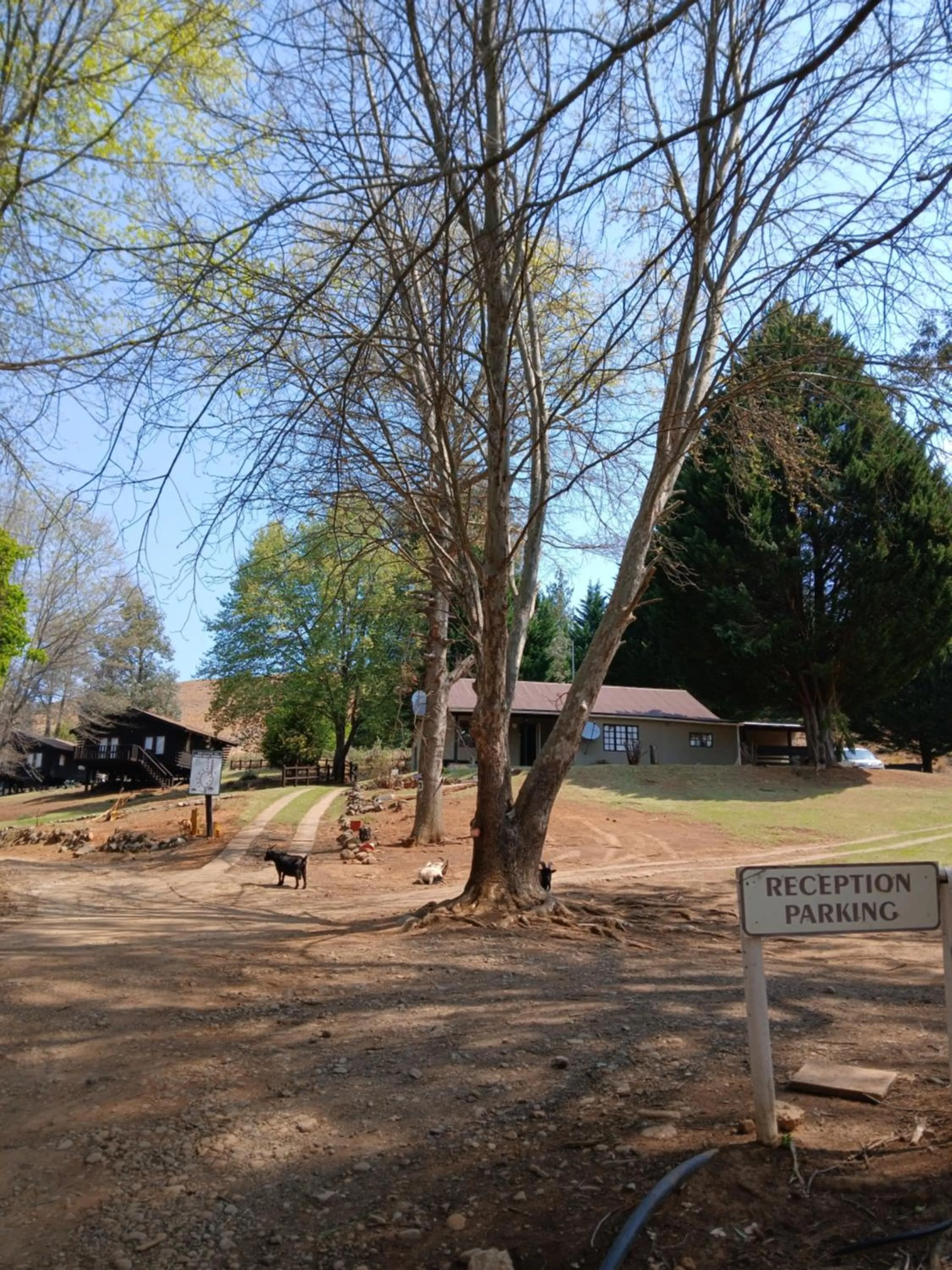 Property building in Eland Valley Resort
