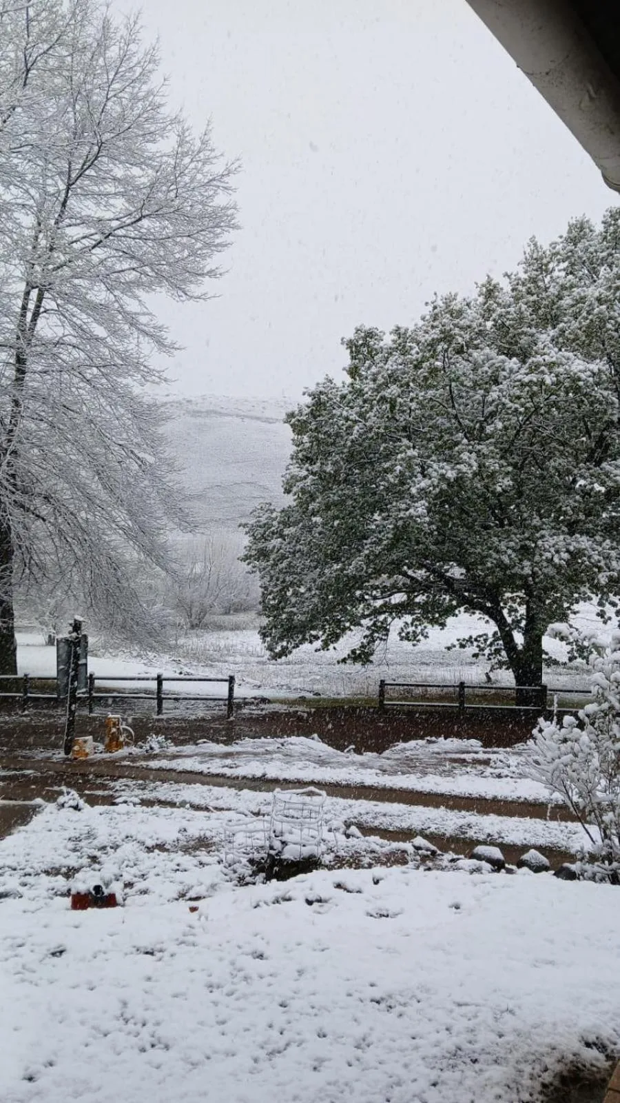 Property building in Eland Valley Resort