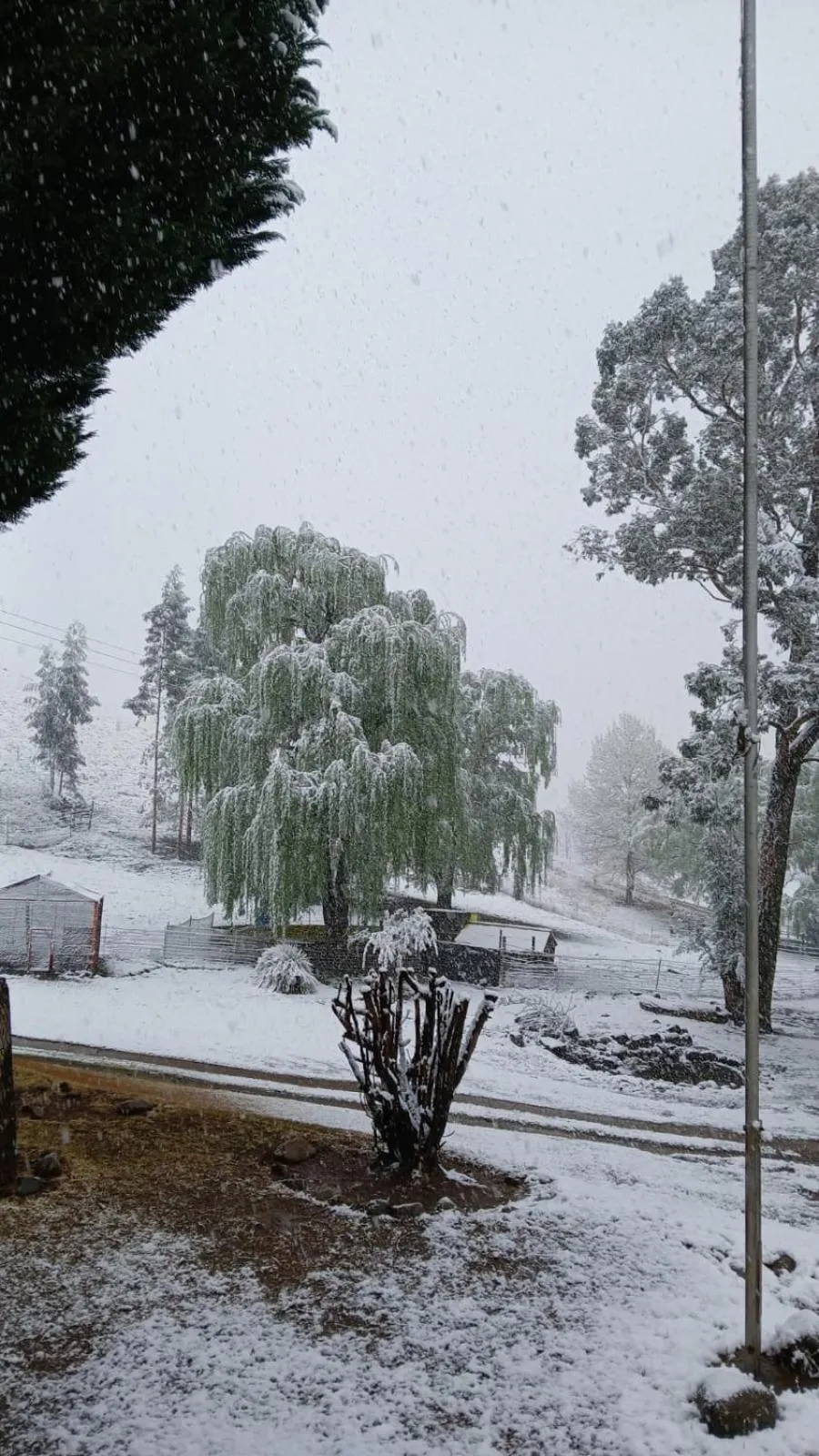 Natural landscape in Eland Valley Resort