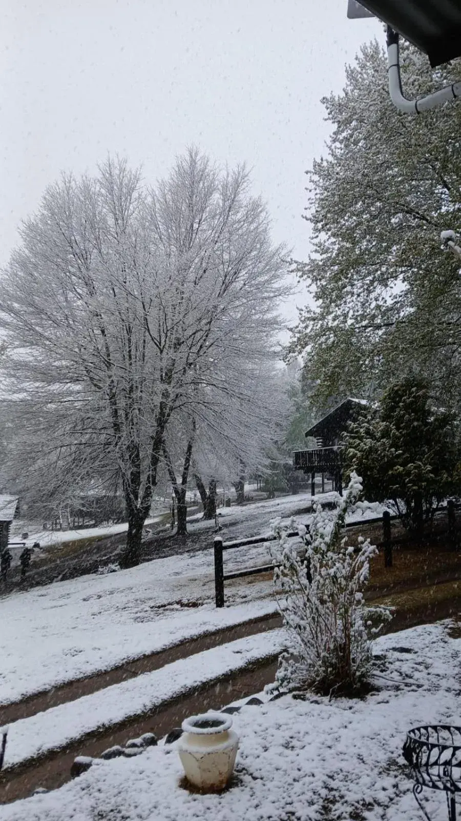 Property building in Eland Valley Resort Property building in Eland Valley Resort