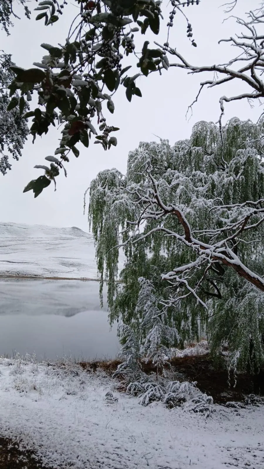 Natural landscape in Eland Valley Resort
