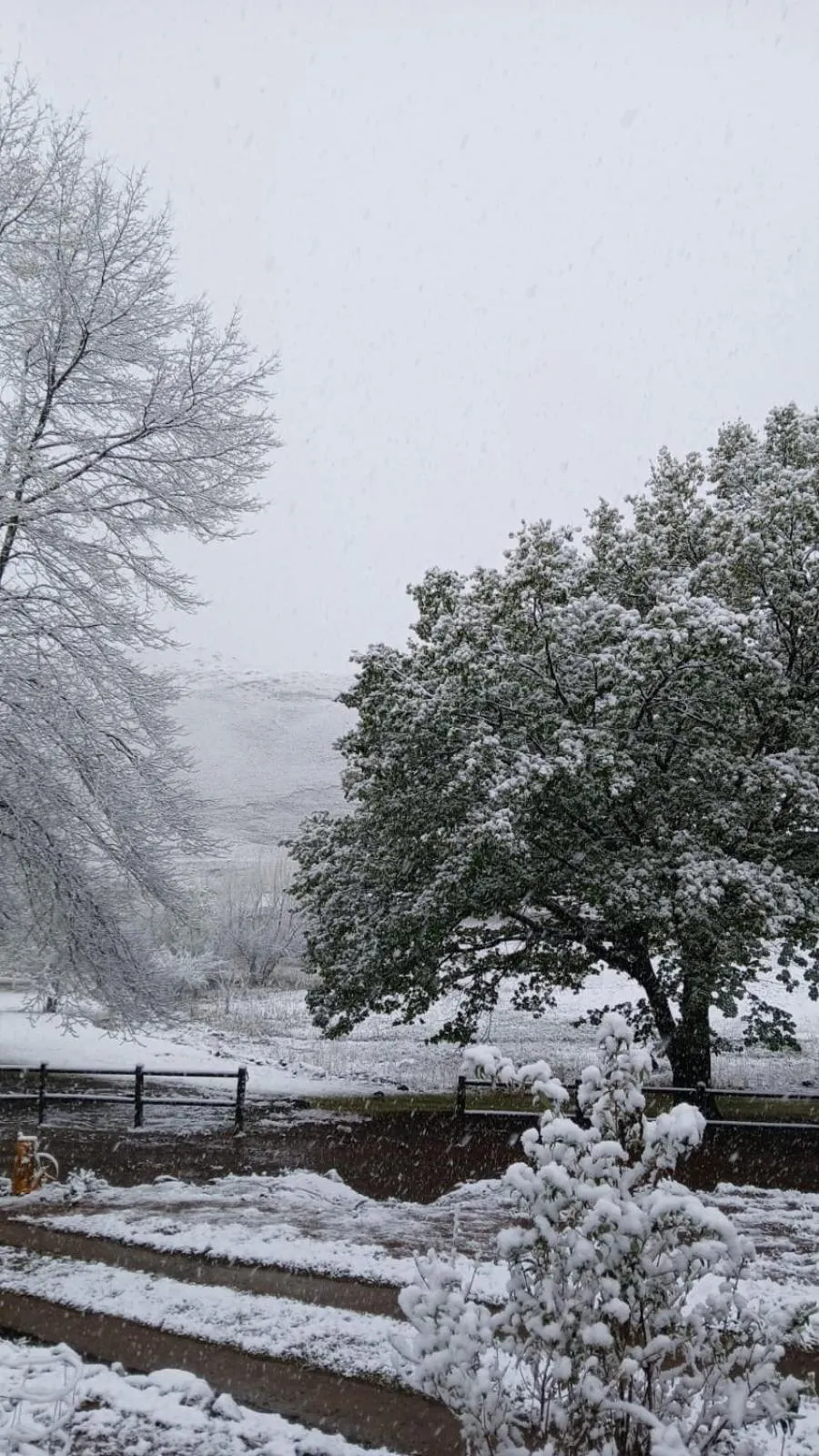 Property building in Eland Valley Resort