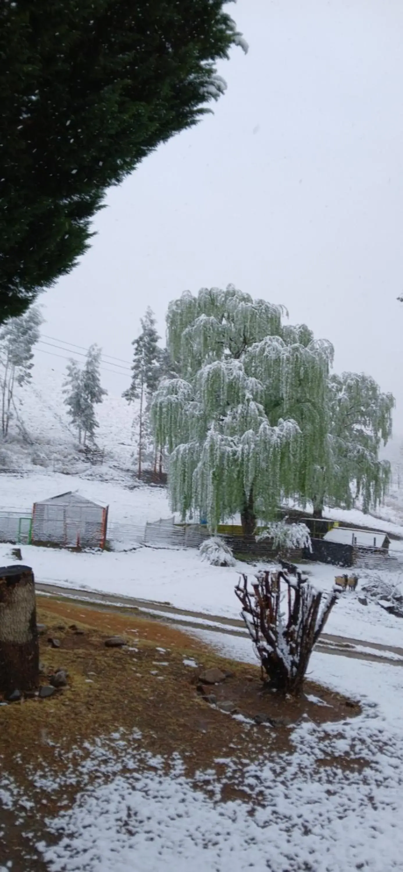 Day in Eland Valley Resort Day in Eland Valley Resort