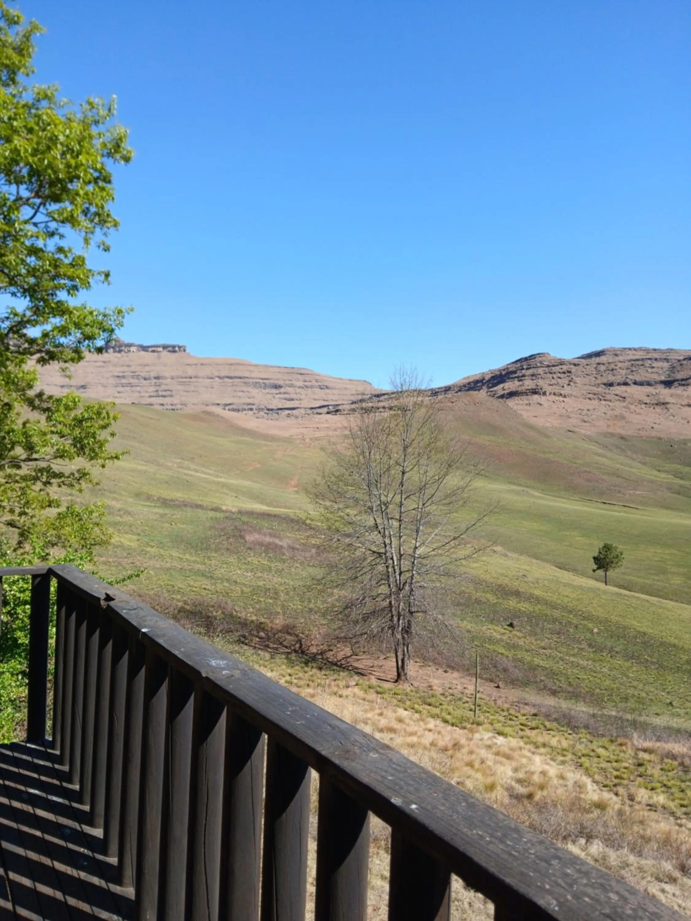 Patio in Eland Valley Resort