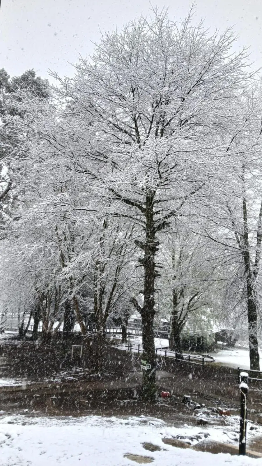 Property building in Eland Valley Resort Property building in Eland Valley Resort