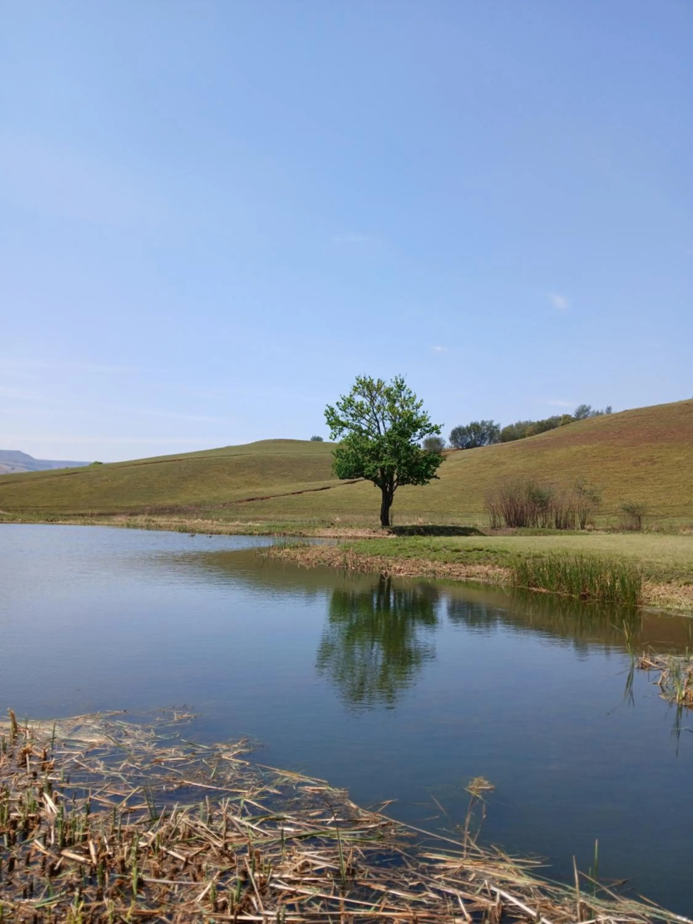 Spring in Eland Valley Resort