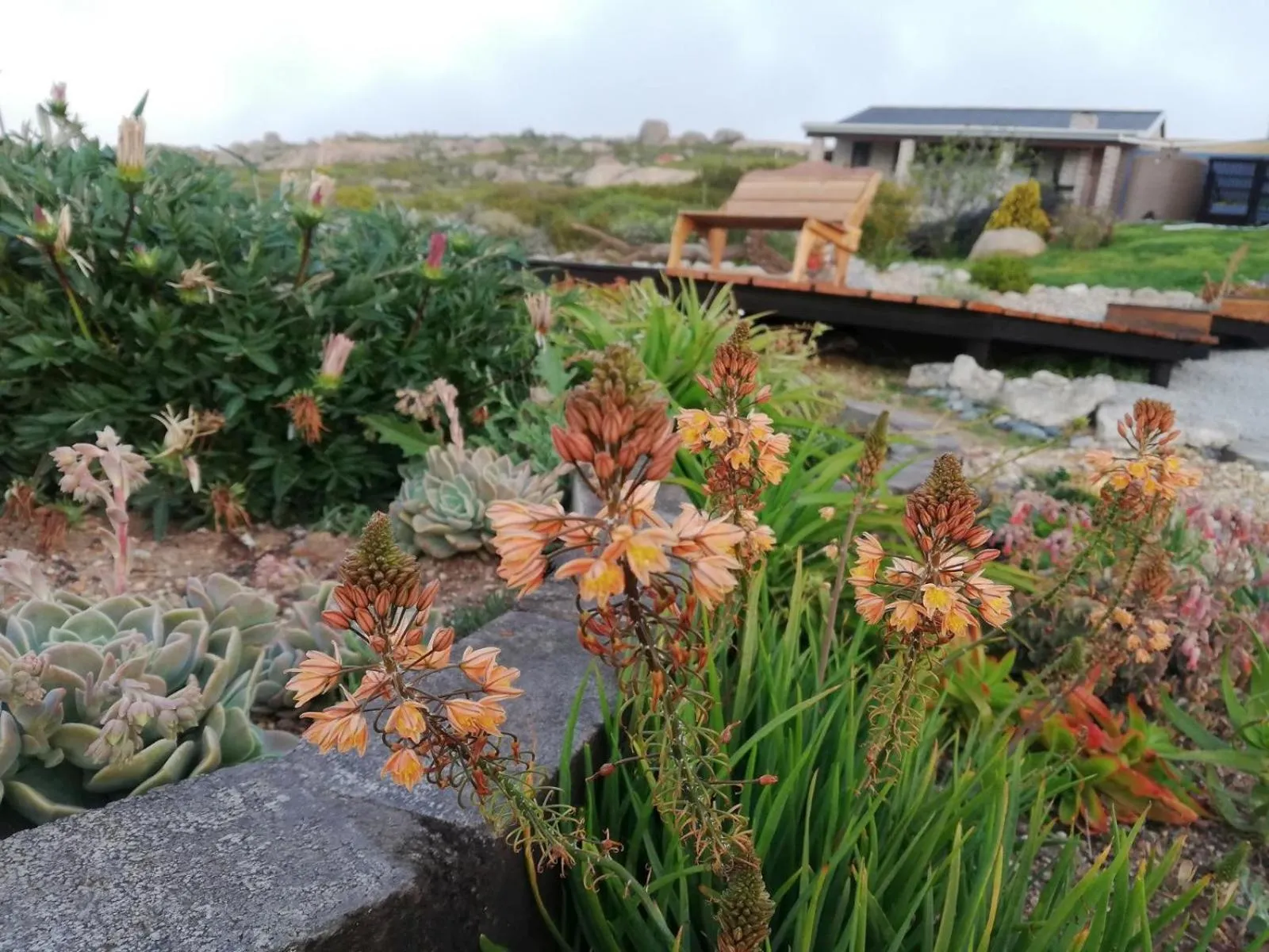 Property building in Onze Uitsight Cottage