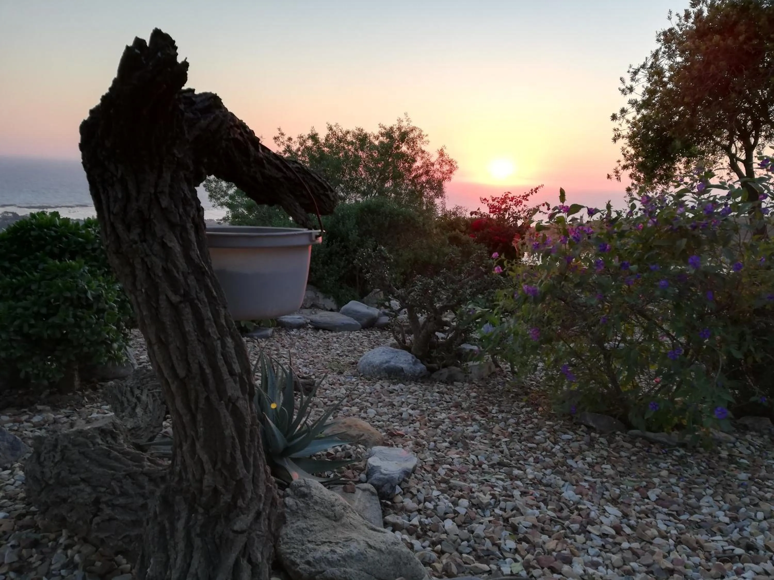 Garden view in Onze Uitsight Cottage