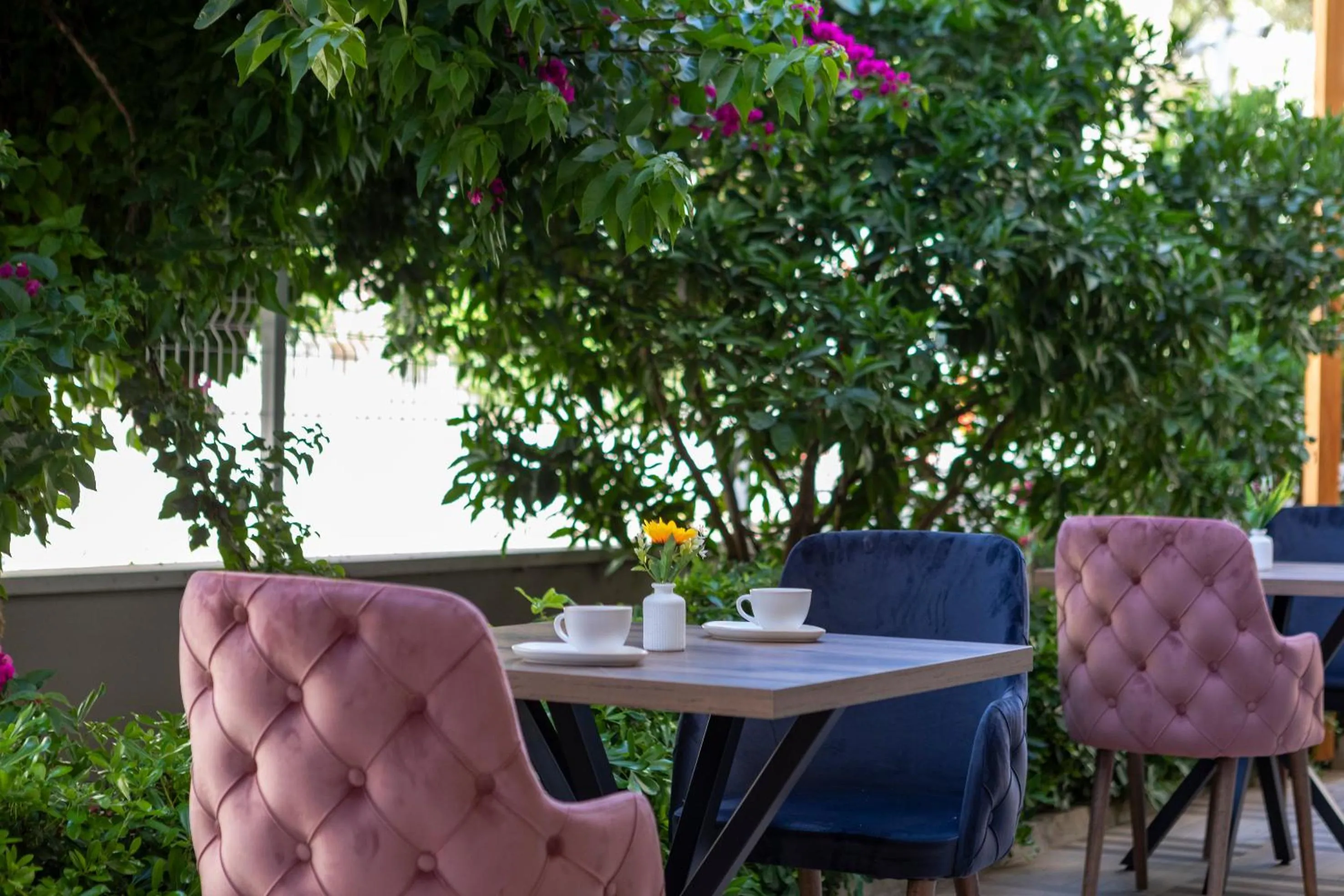 Garden in Toprak Apart Otel