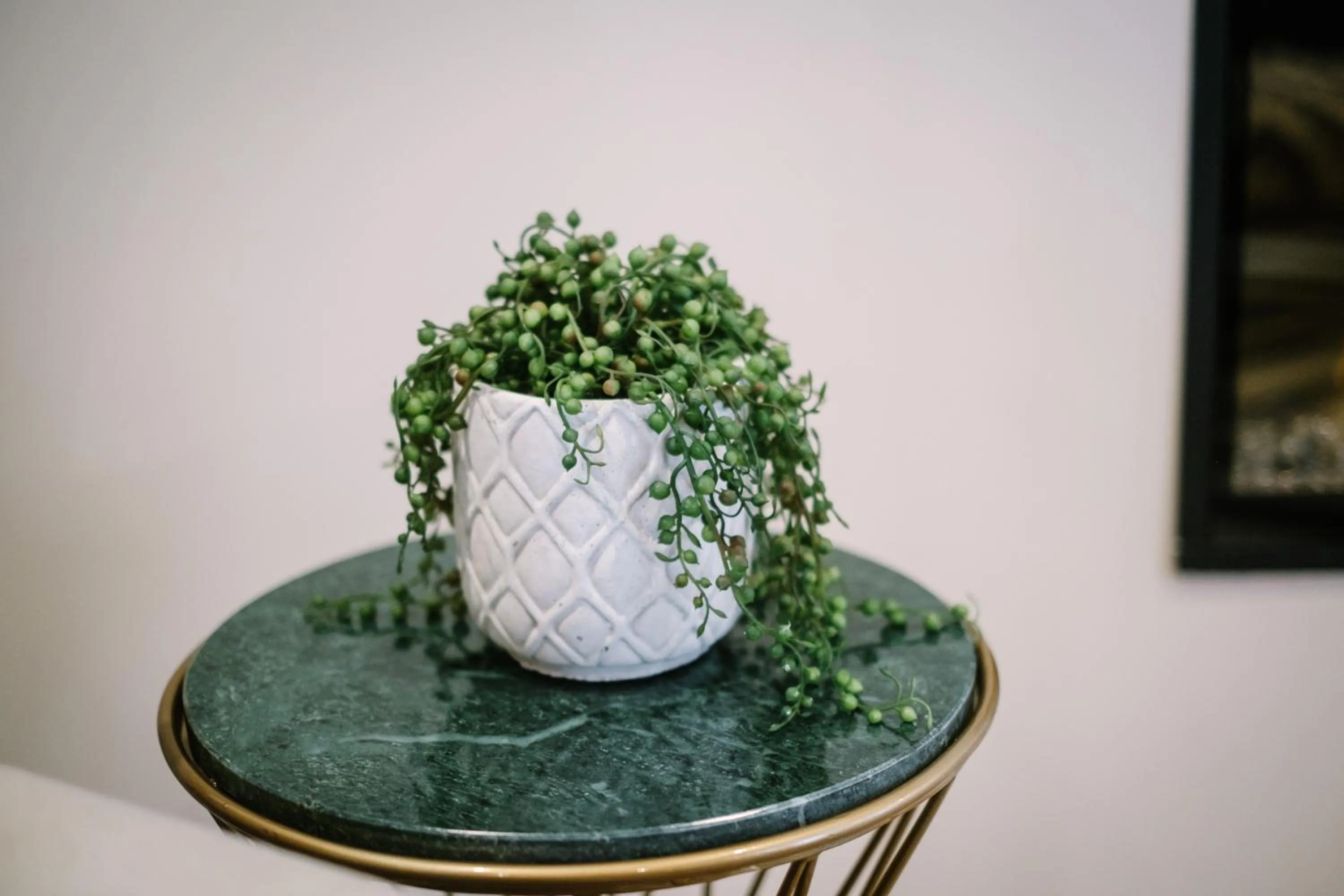 The Den - The White House Windermere