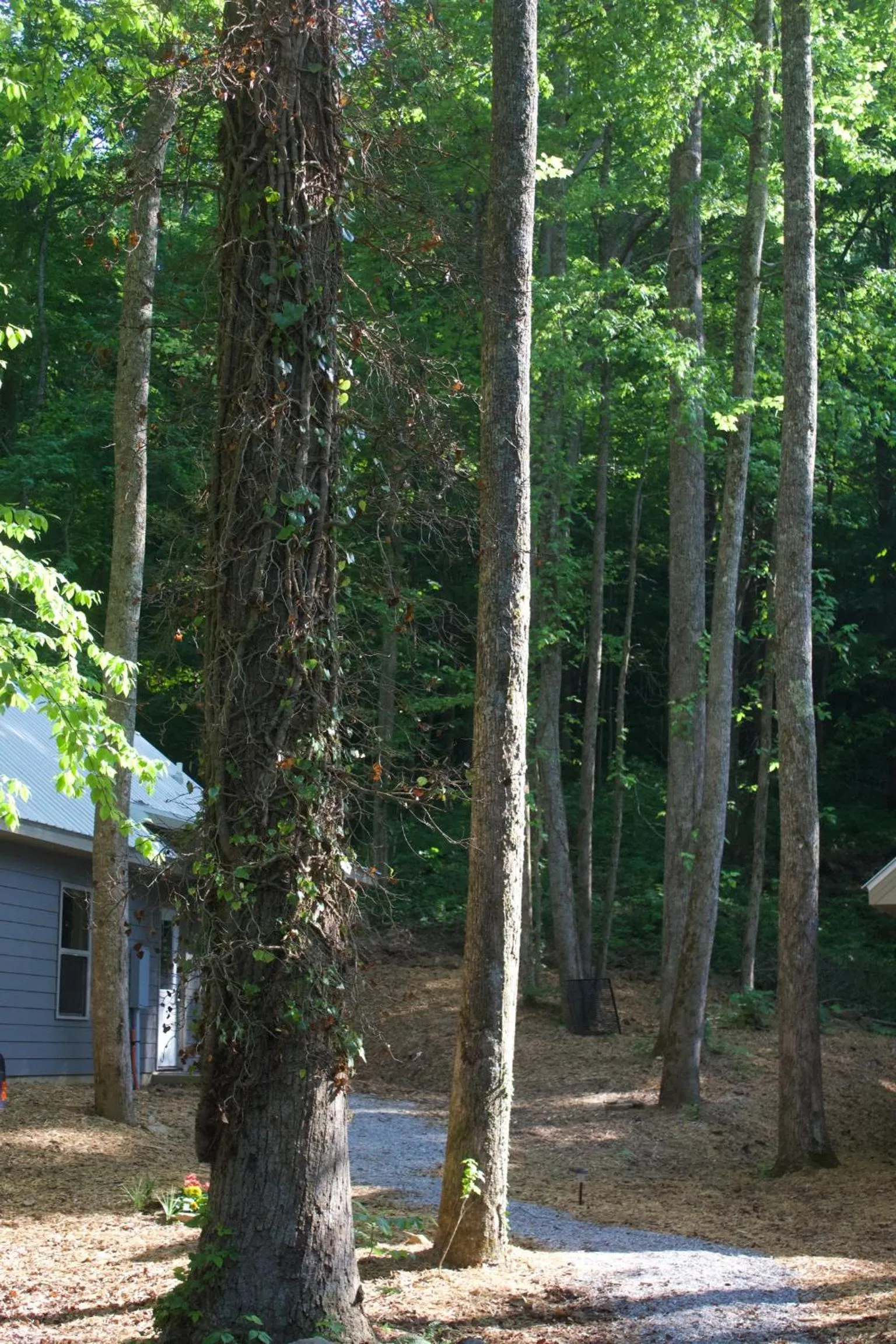 Villas at Gingershack Farms