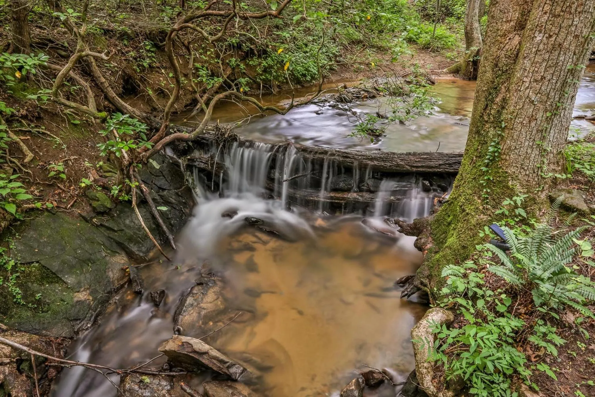 Villas at Gingershack Farms