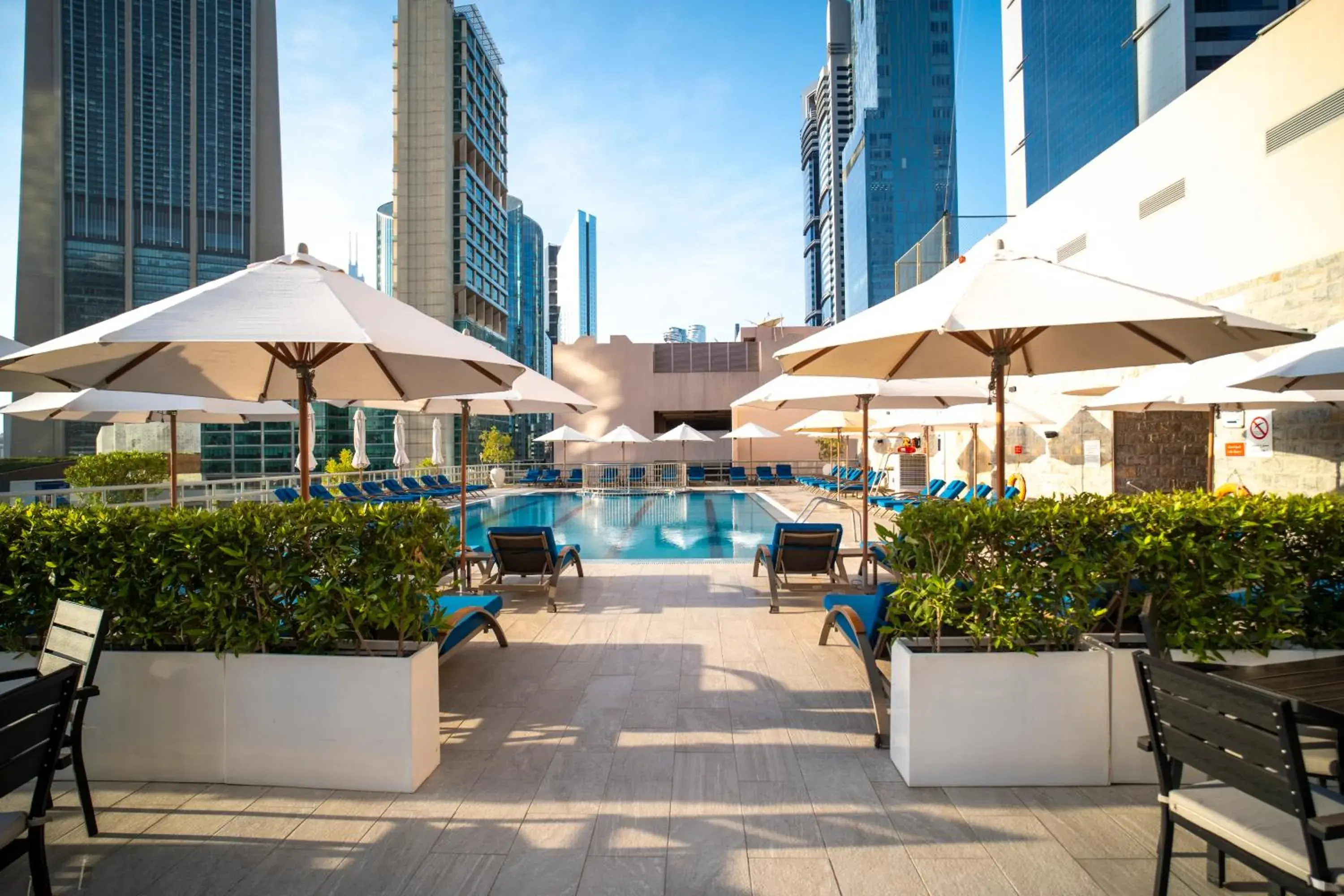 Swimming pool in Rose Rayhaan by Rotana - Dubai Swimming pool in Rose Rayhaan by Rotana - Dubai