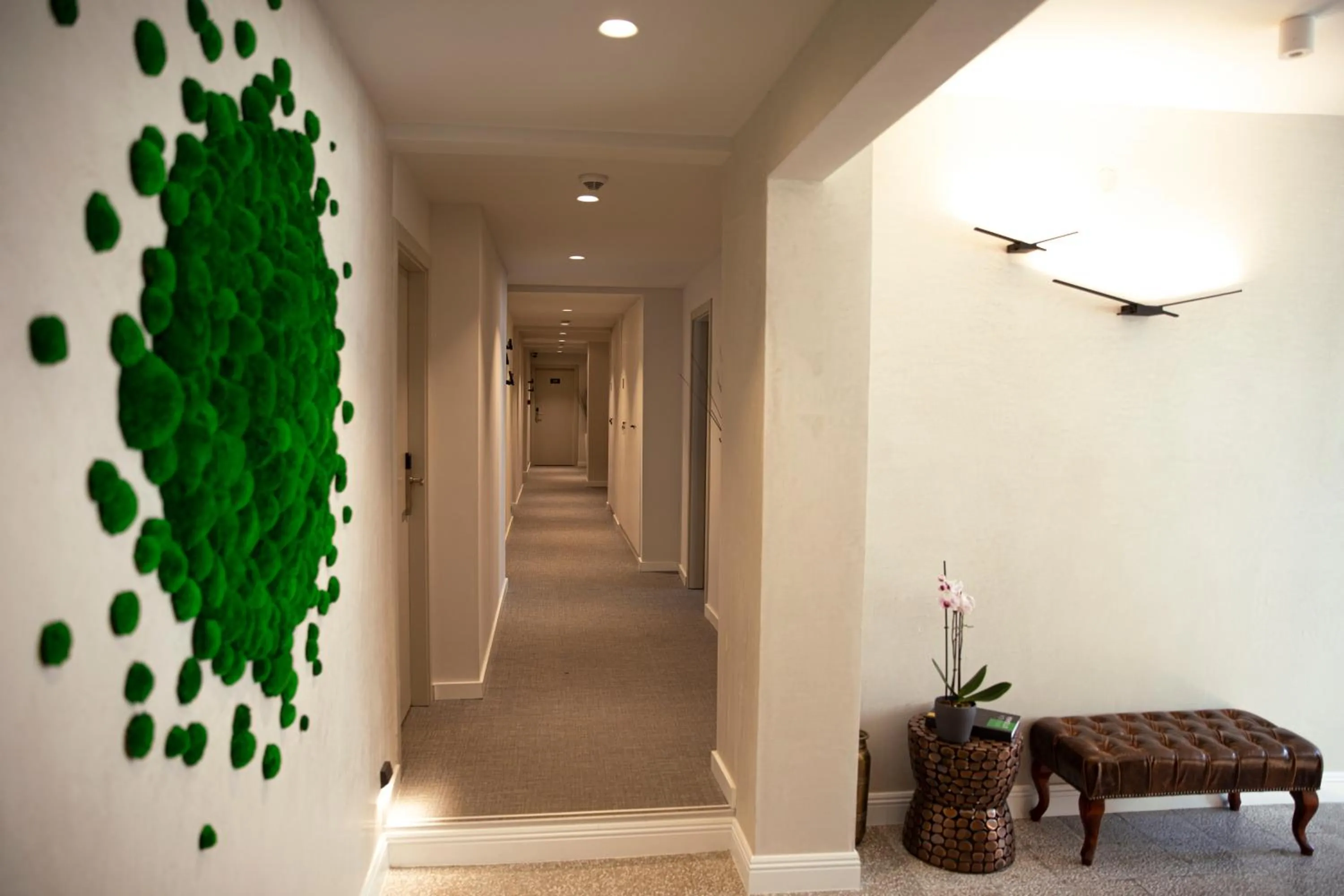 Property building in Hotel Botanica