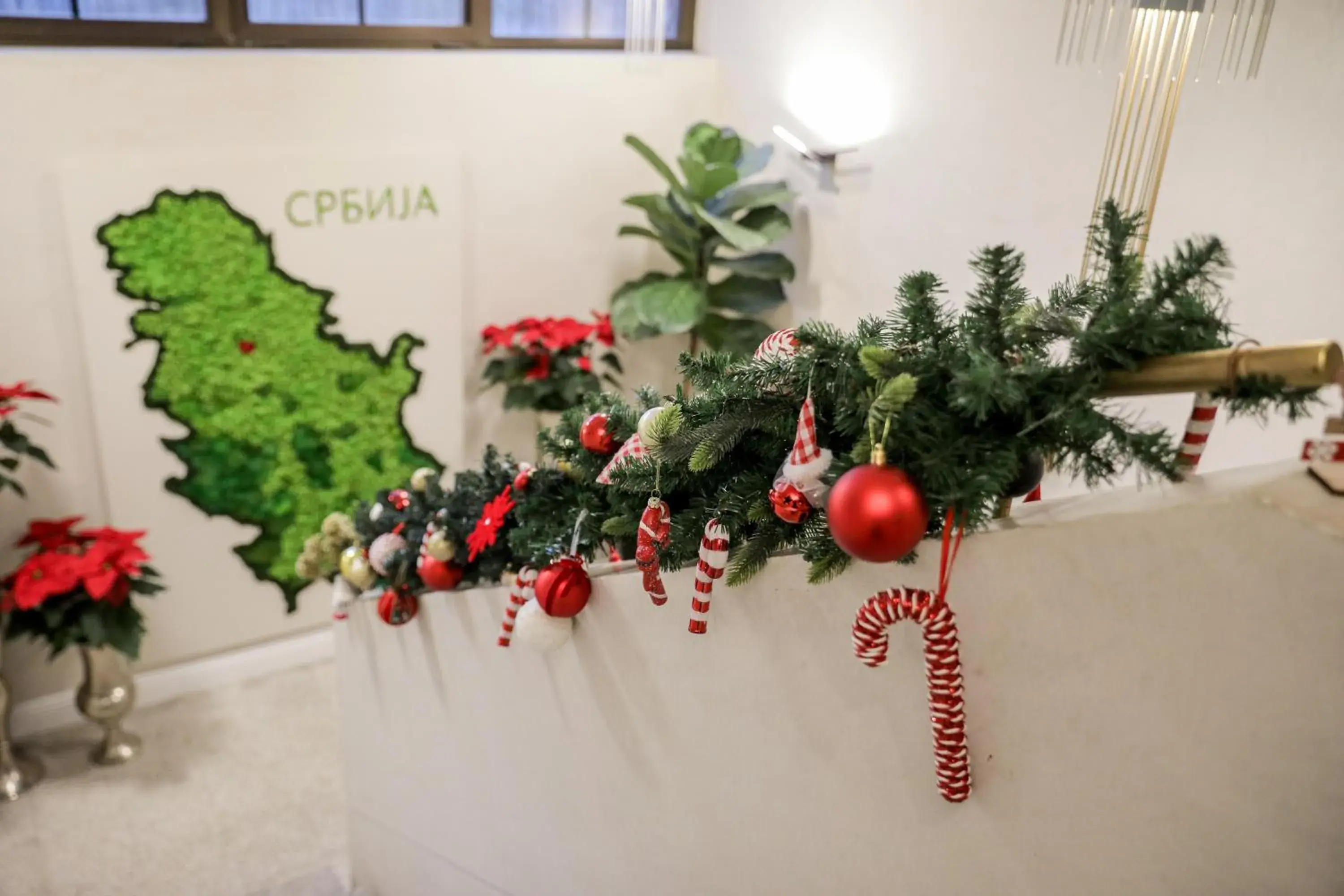 Property building in Hotel Botanica Property building in Hotel Botanica