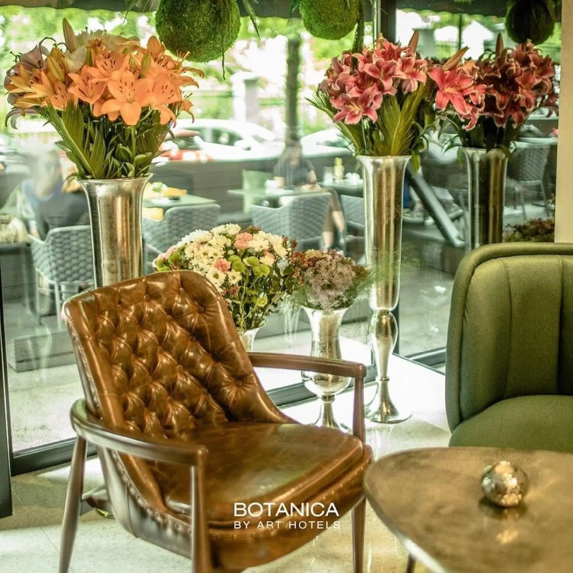 Restaurant/places to eat in Hotel Botanica Restaurant/places to eat in Hotel Botanica