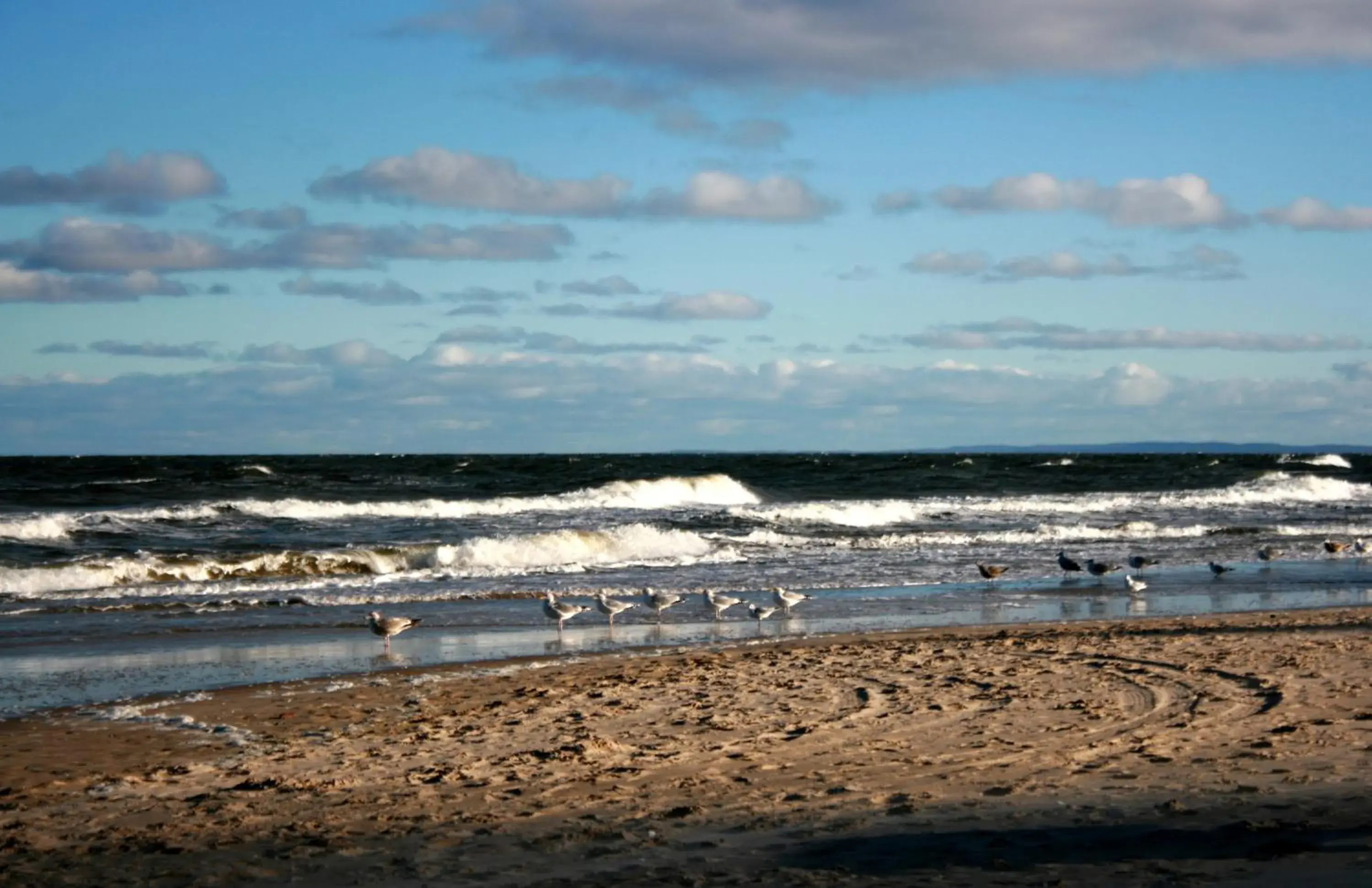 Beach in DAS HUDEWALD Hotel & Resort