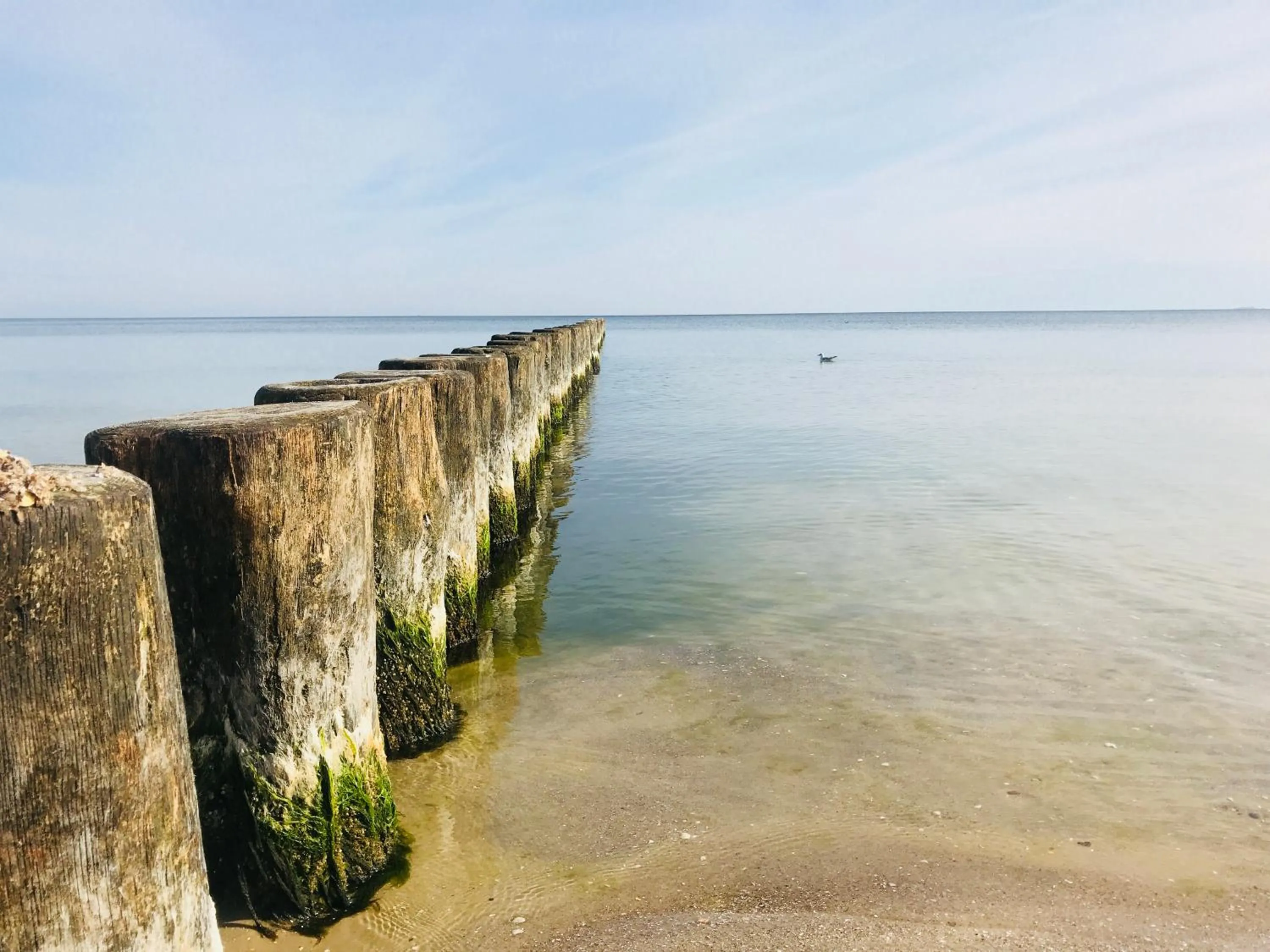 Beach in DAS HUDEWALD Hotel & Resort