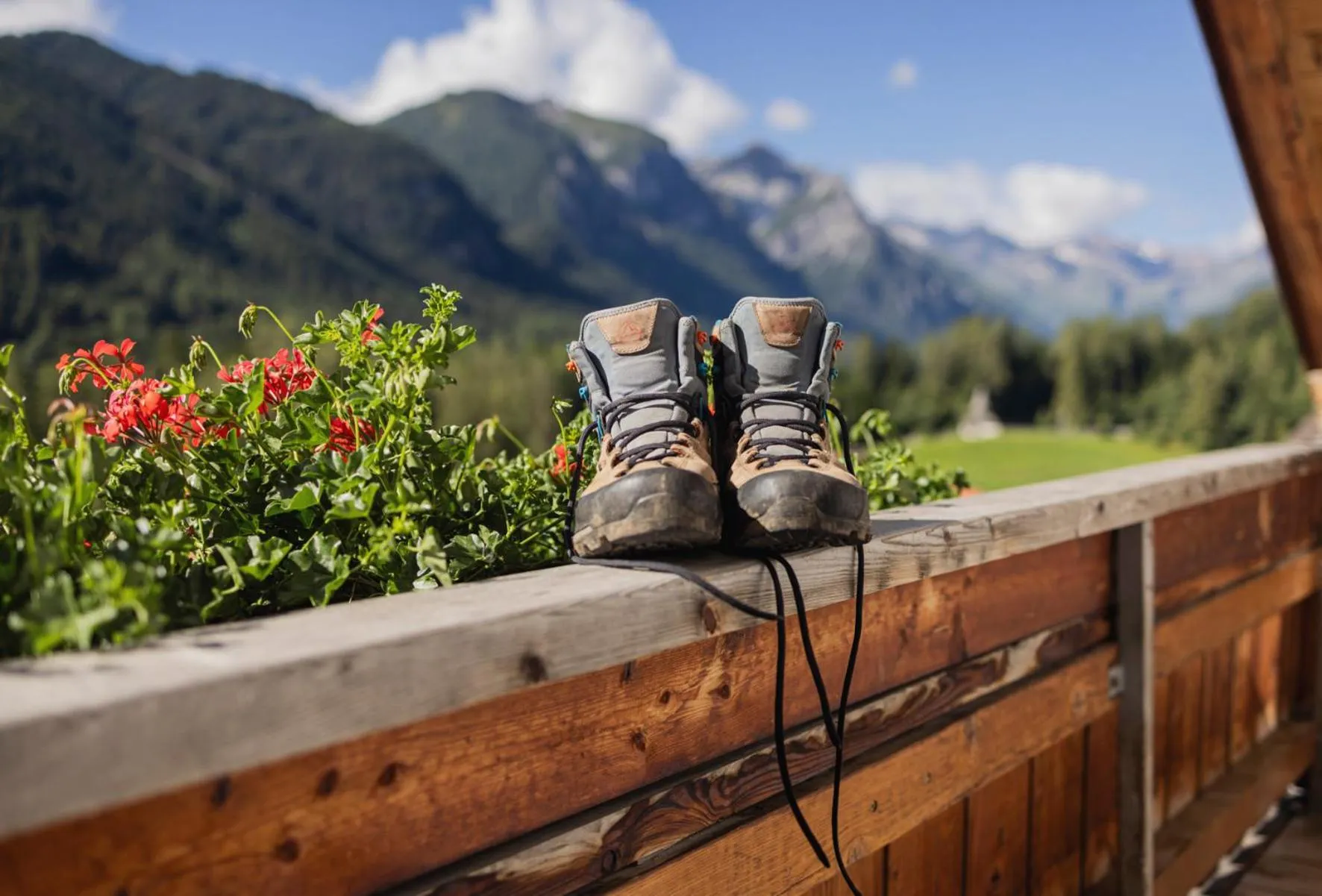 View (from property/room) in Alpen Gasthof Apartments Hohe Burg