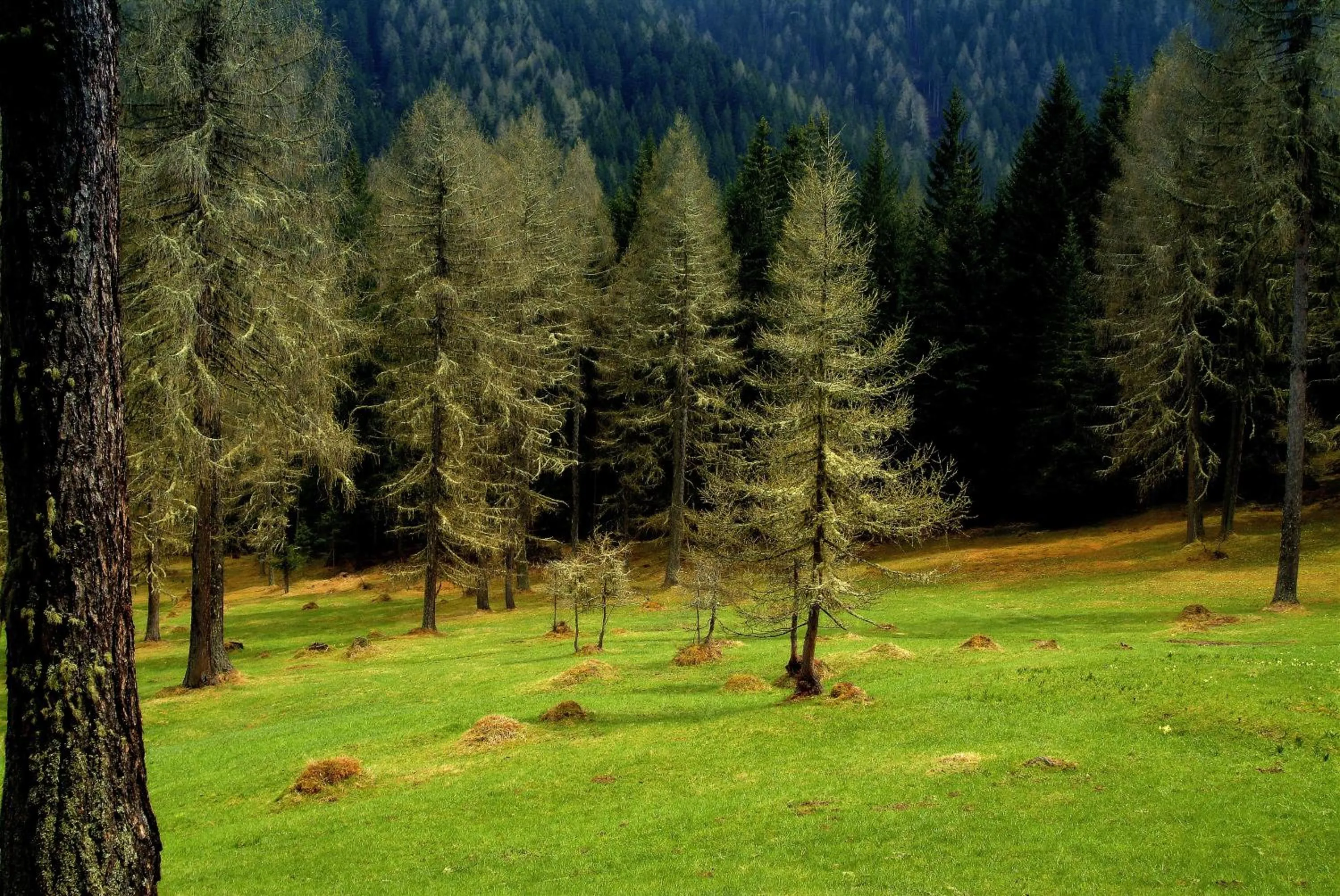 Residence Vis à Vis