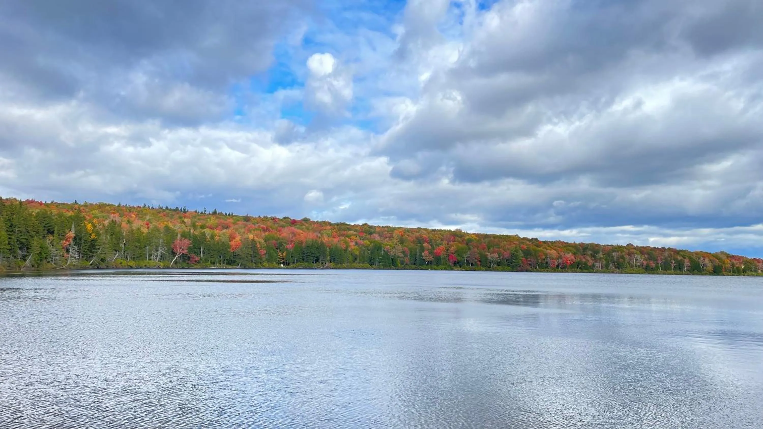 Natural landscape in Deerfield Valley Inn - Mt Snow