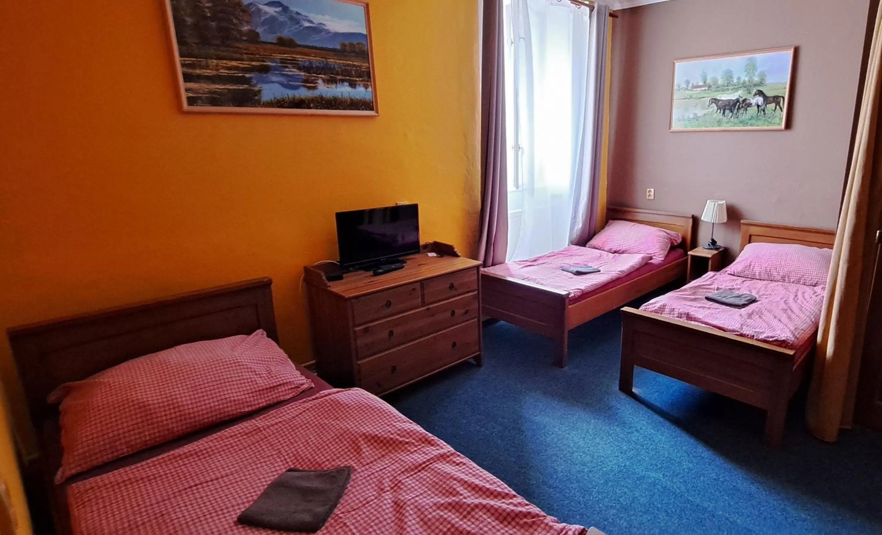Bed in Hotel Mrázek