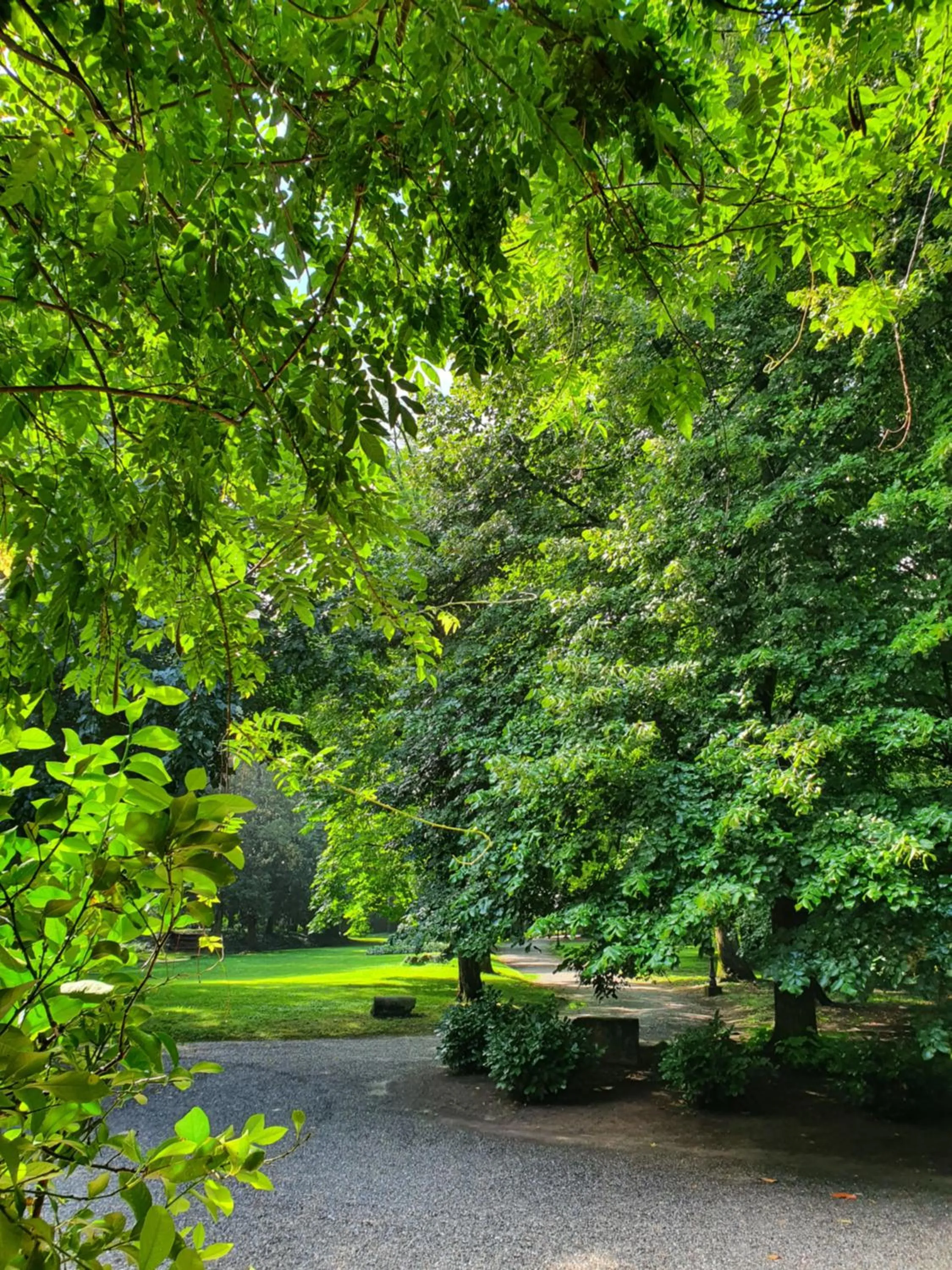 Garden view in Villa Bottini La Limonaia