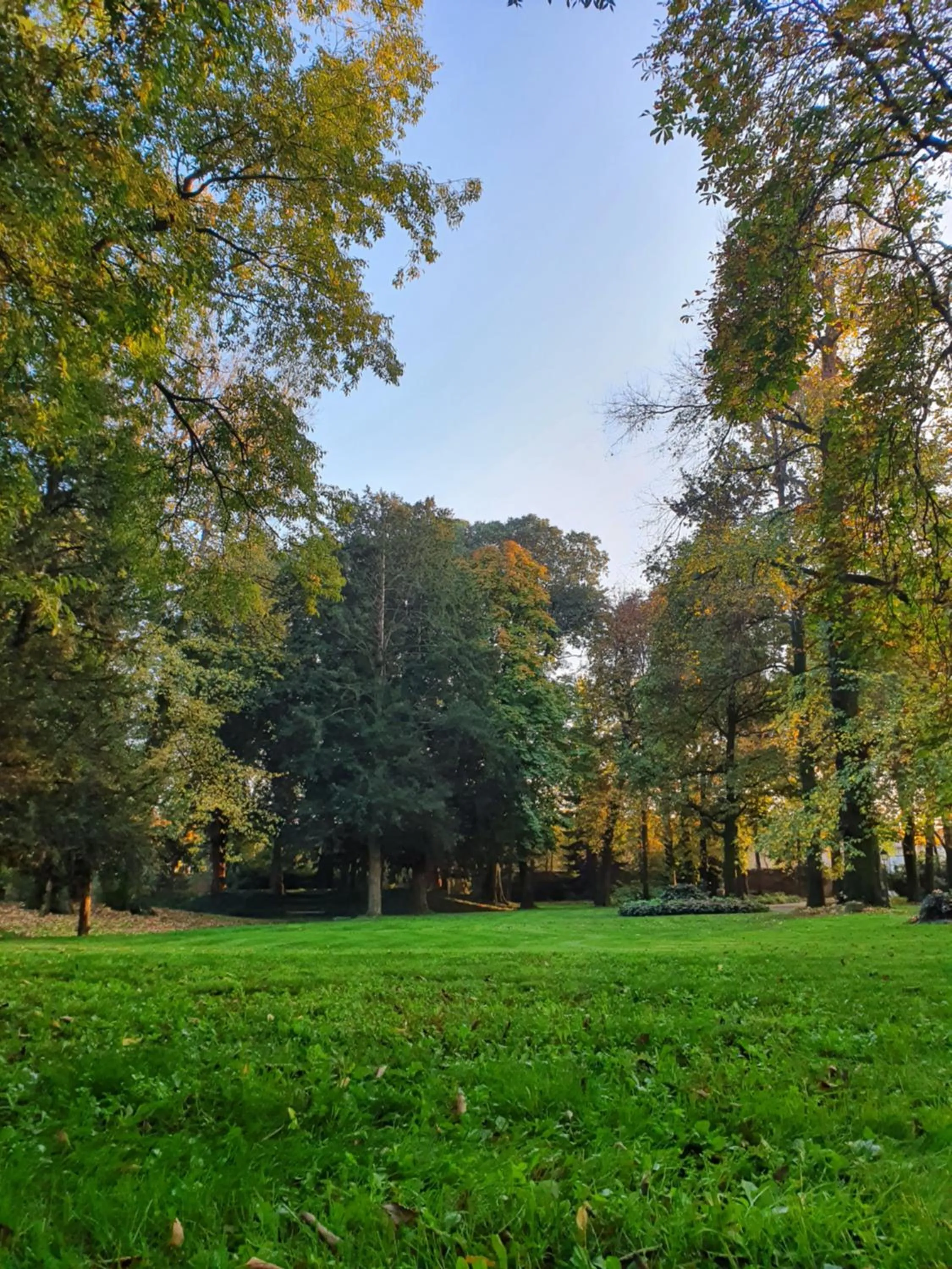 Garden view in Villa Bottini La Limonaia