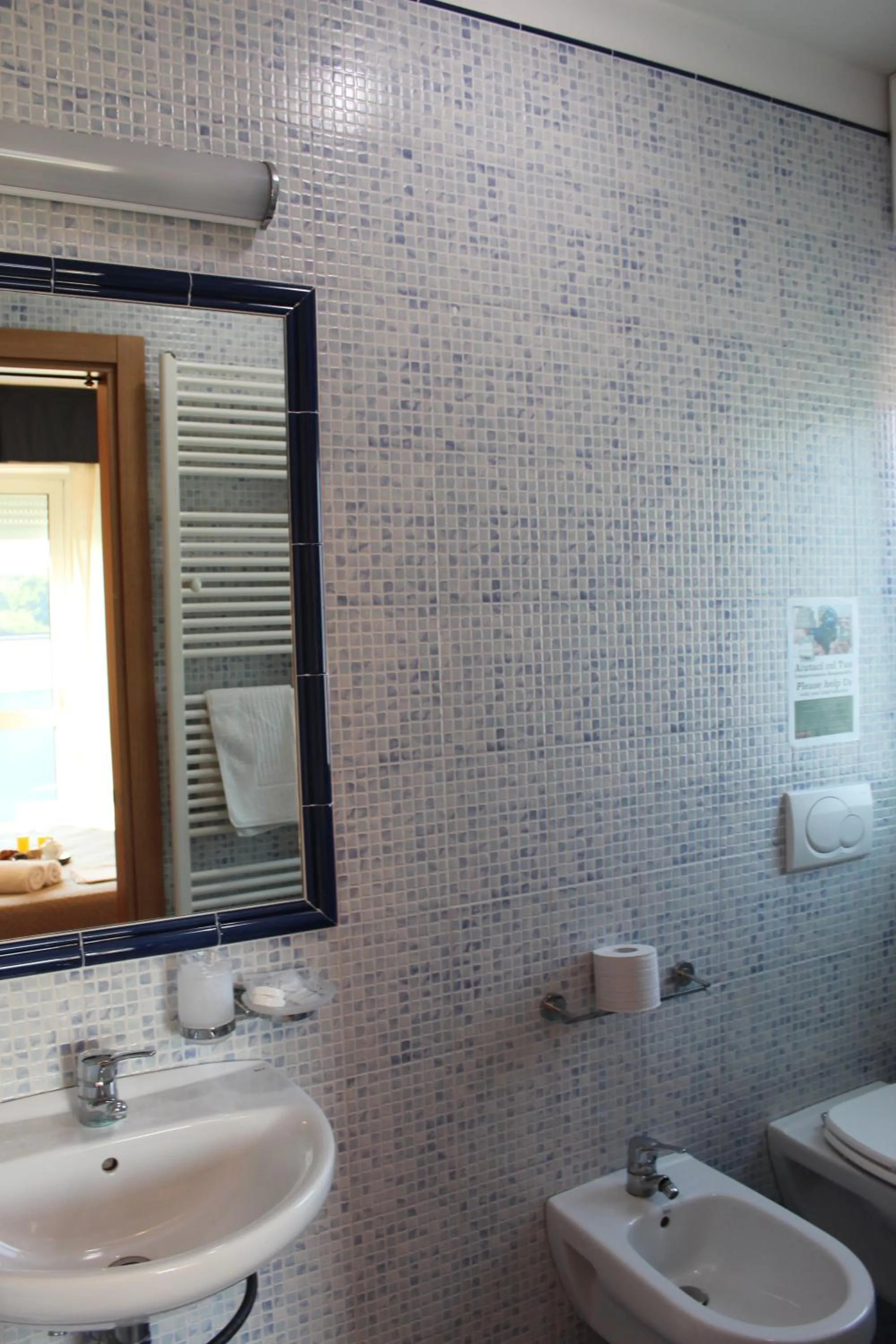 Shower in Hotel Jole