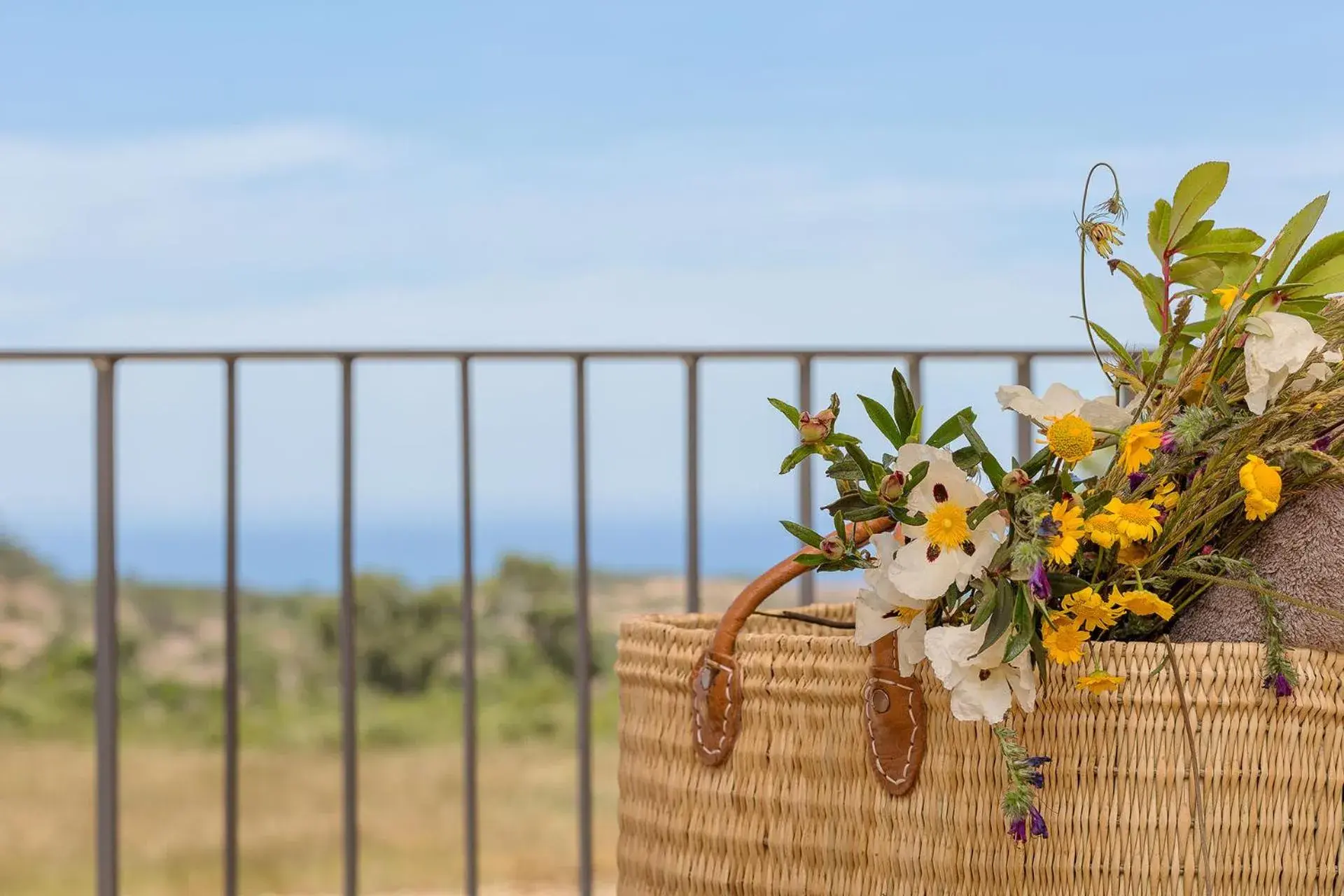 View (from property/room) in Praia do Canal Nature Retreat - Small Luxury Hotels of the World View (from property/room) in Praia do Canal Nature Retreat - Small Luxury Hotels of the World