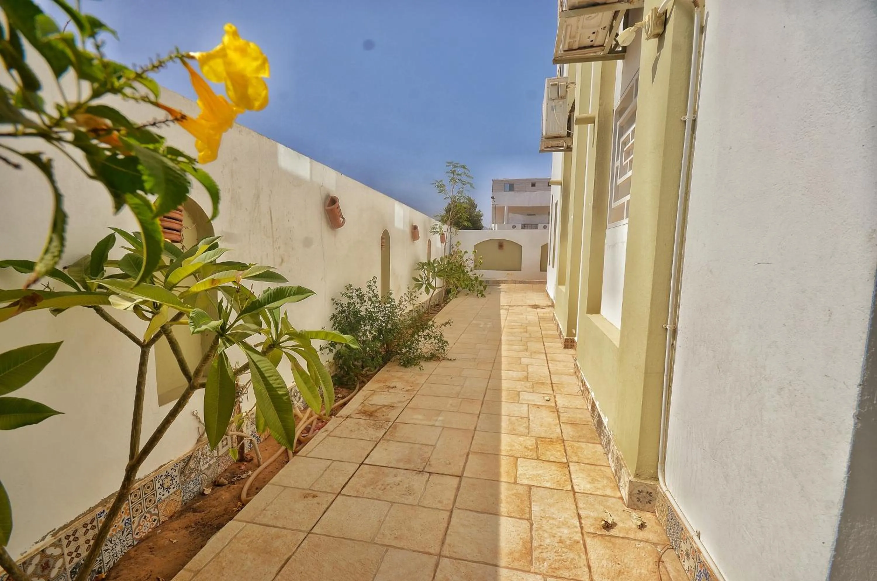 Garden in Elite Residence Dahab