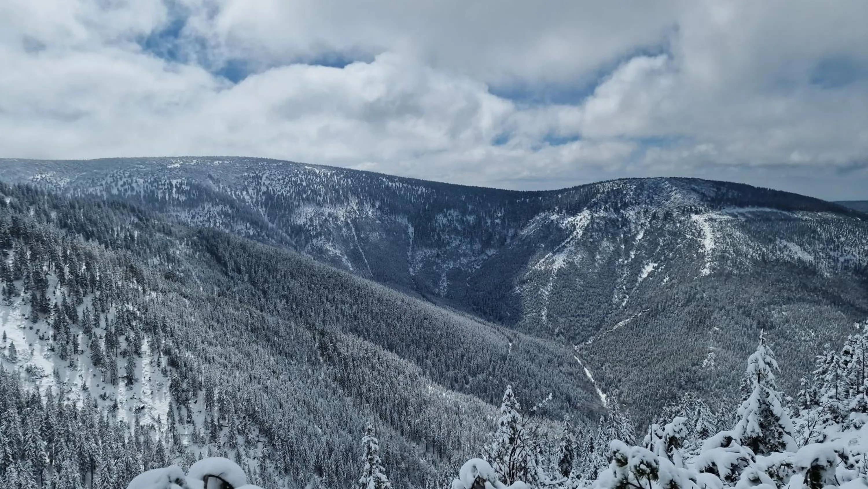 Natural landscape in CHATA LESOVNA