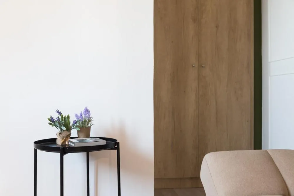 Decorative detail in Anemi Green Cozy apartment, beach views and comfort!