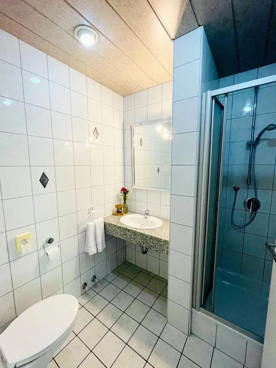 Toilet in Bayerischer Hof