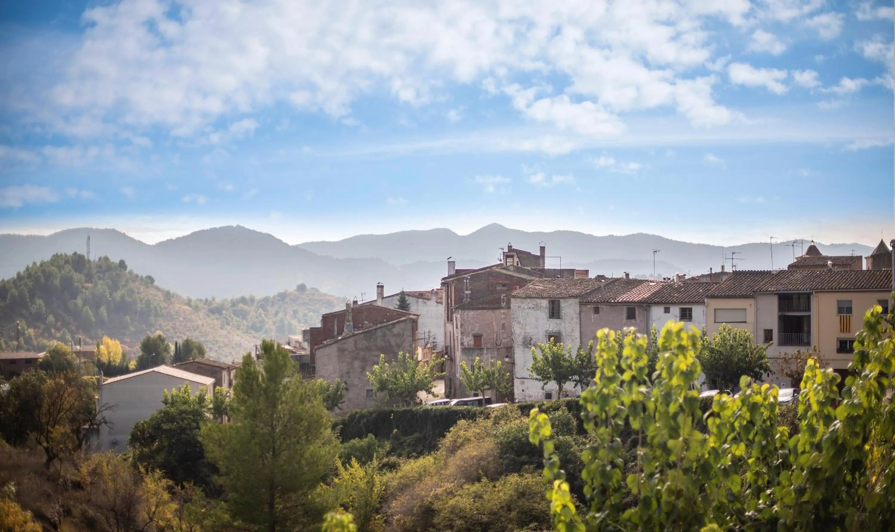 Property building in Cal Giral II