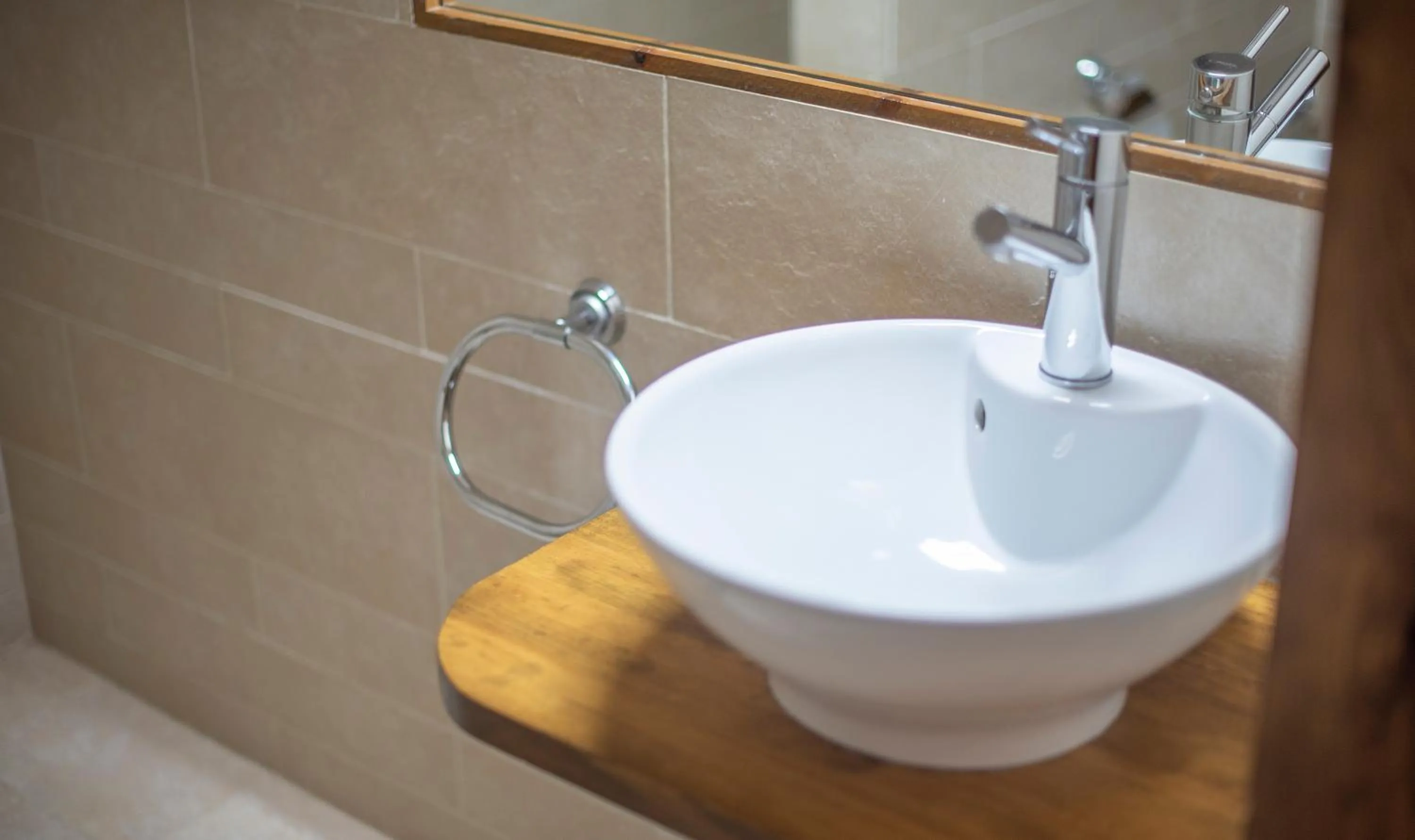 Bathroom in Cal Giral II