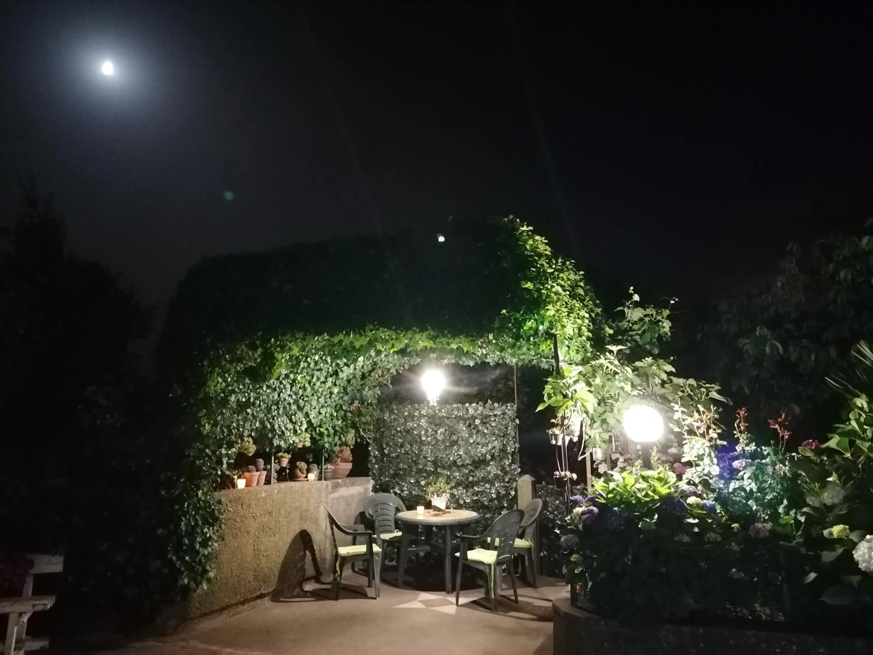 Patio in HedèraRooms