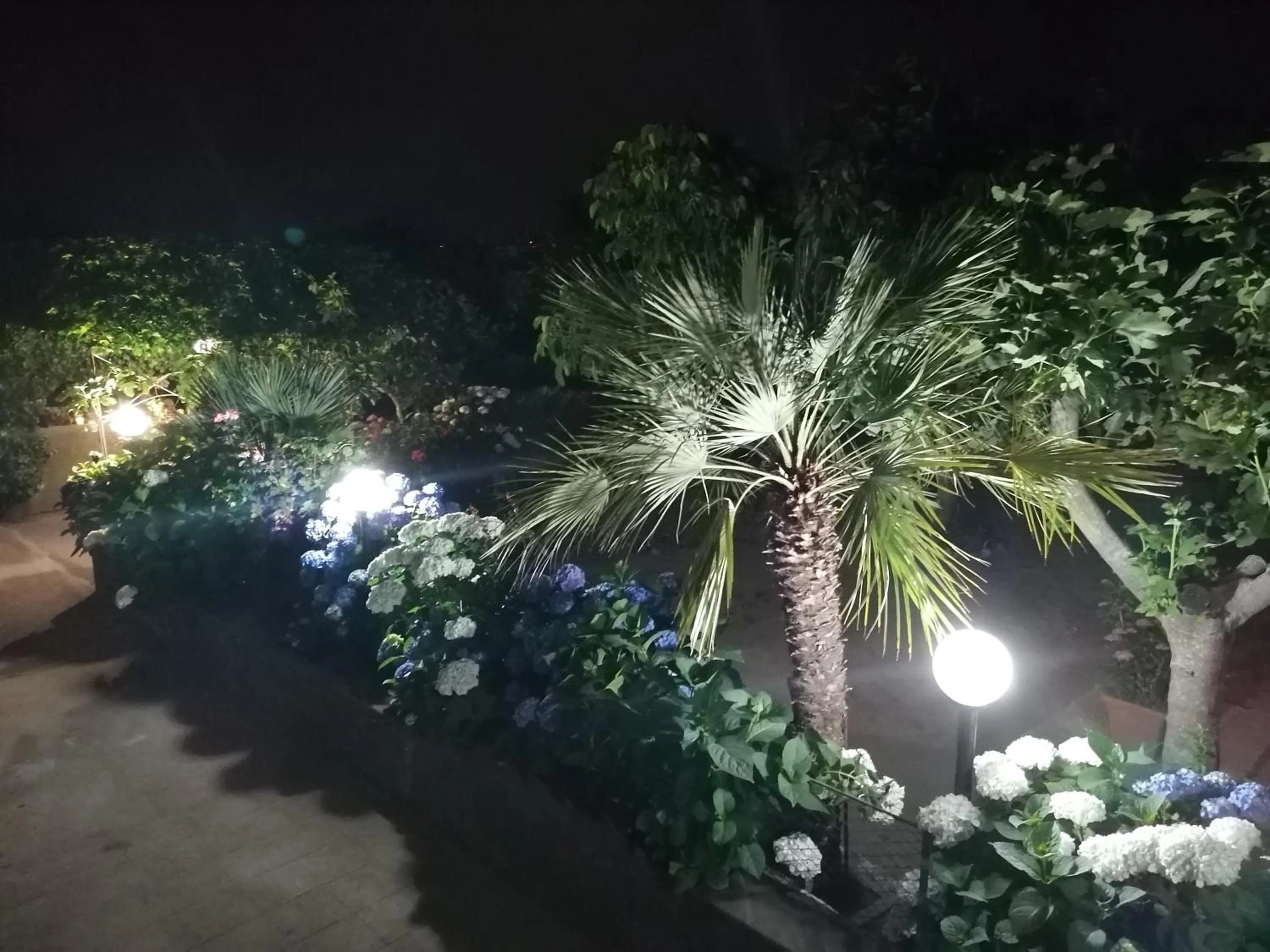 Garden in HedèraRooms