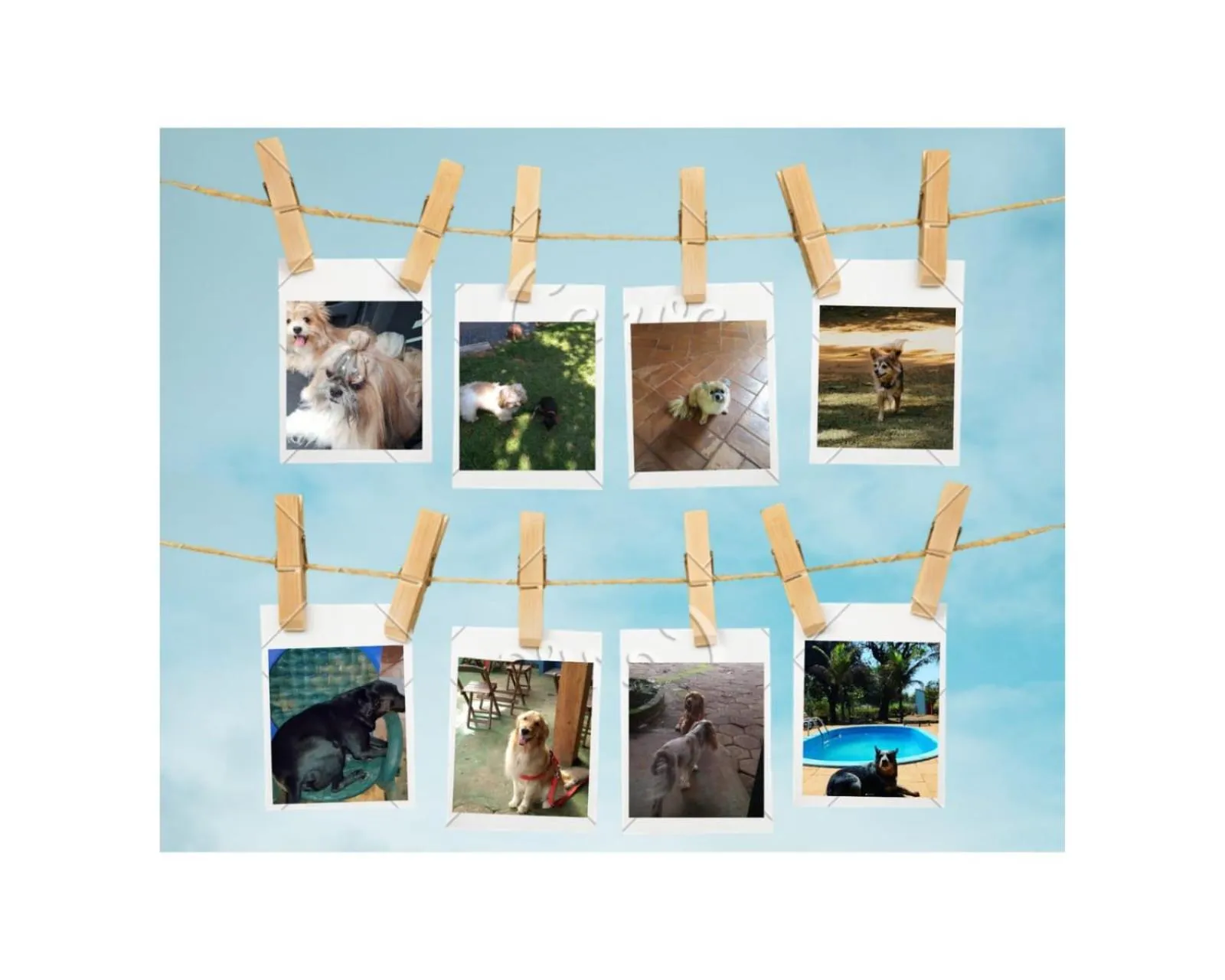 Guests in Pousada Canto dos Passaros