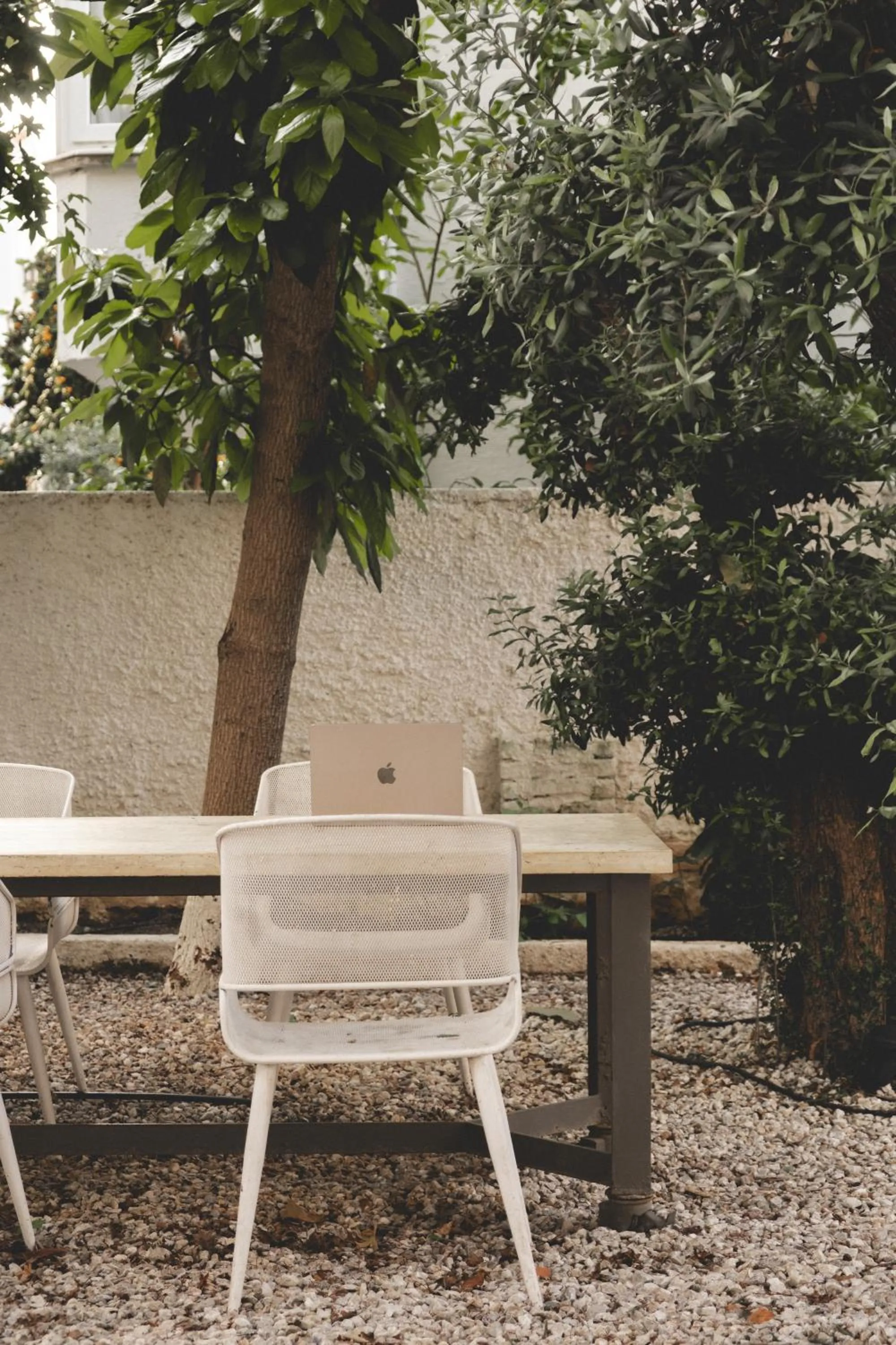 Garden in L'olive homes