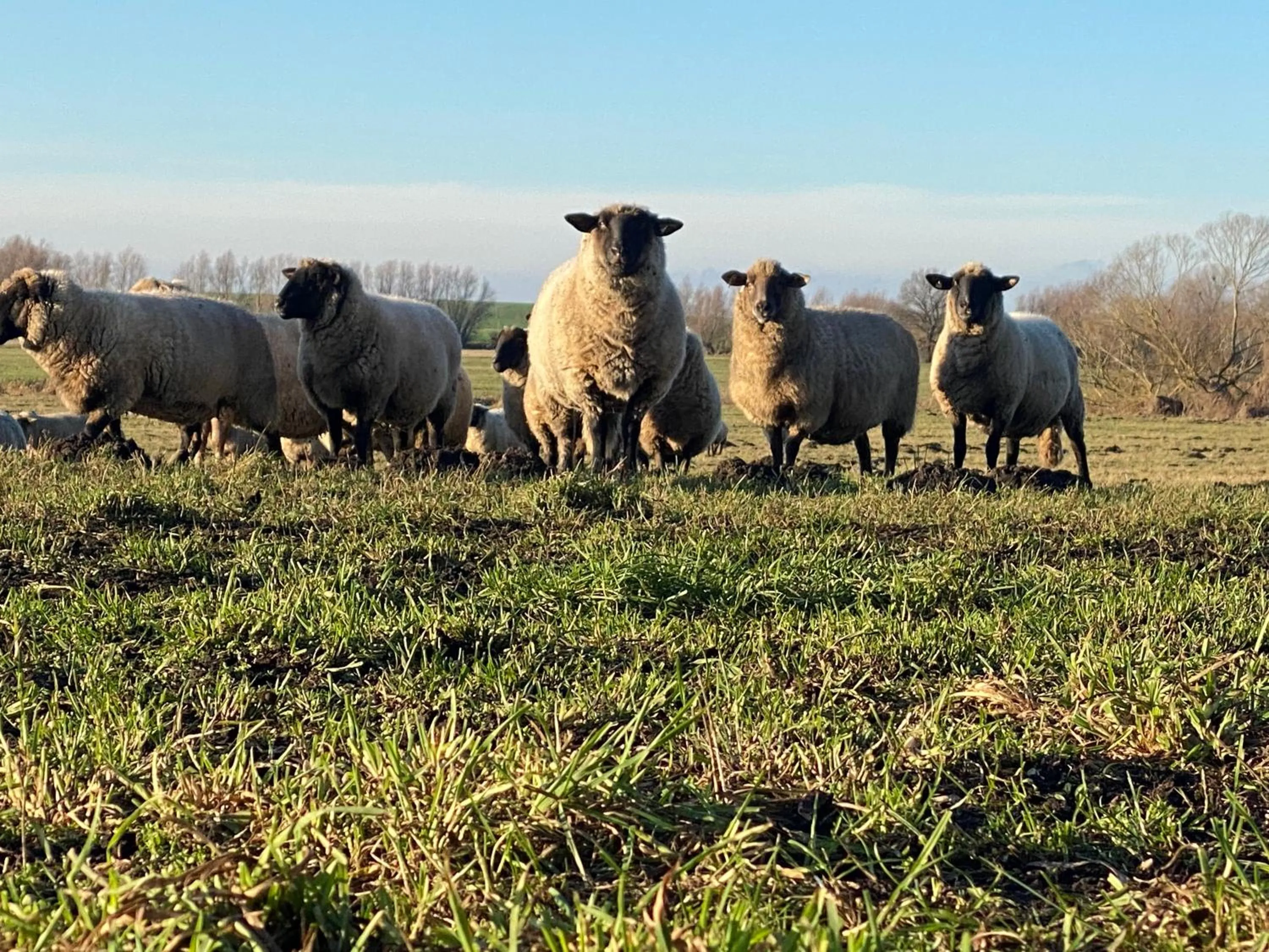 Hotel Am Schlosspark