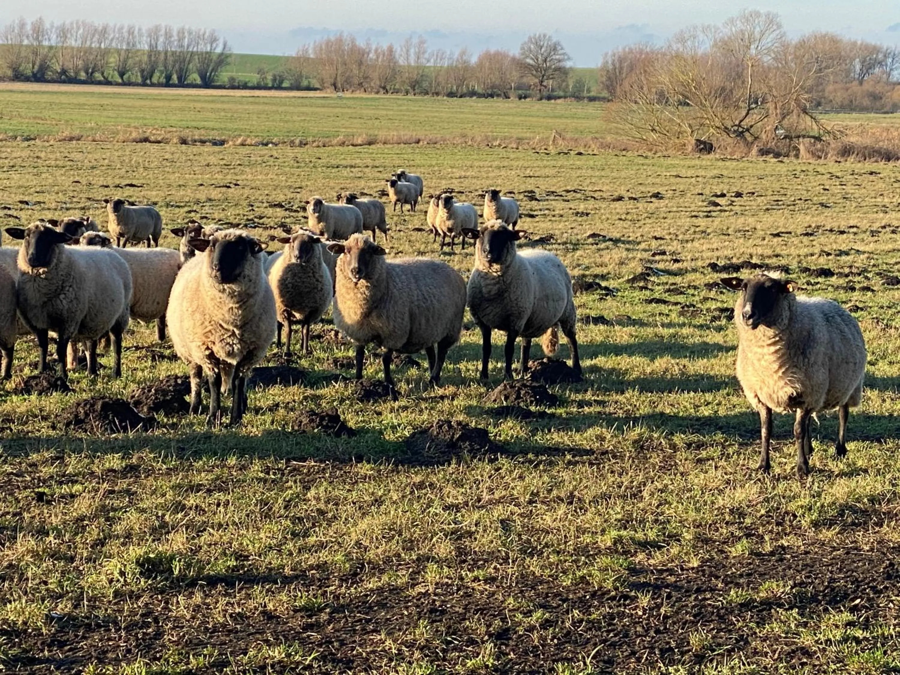 Hotel Am Schlosspark